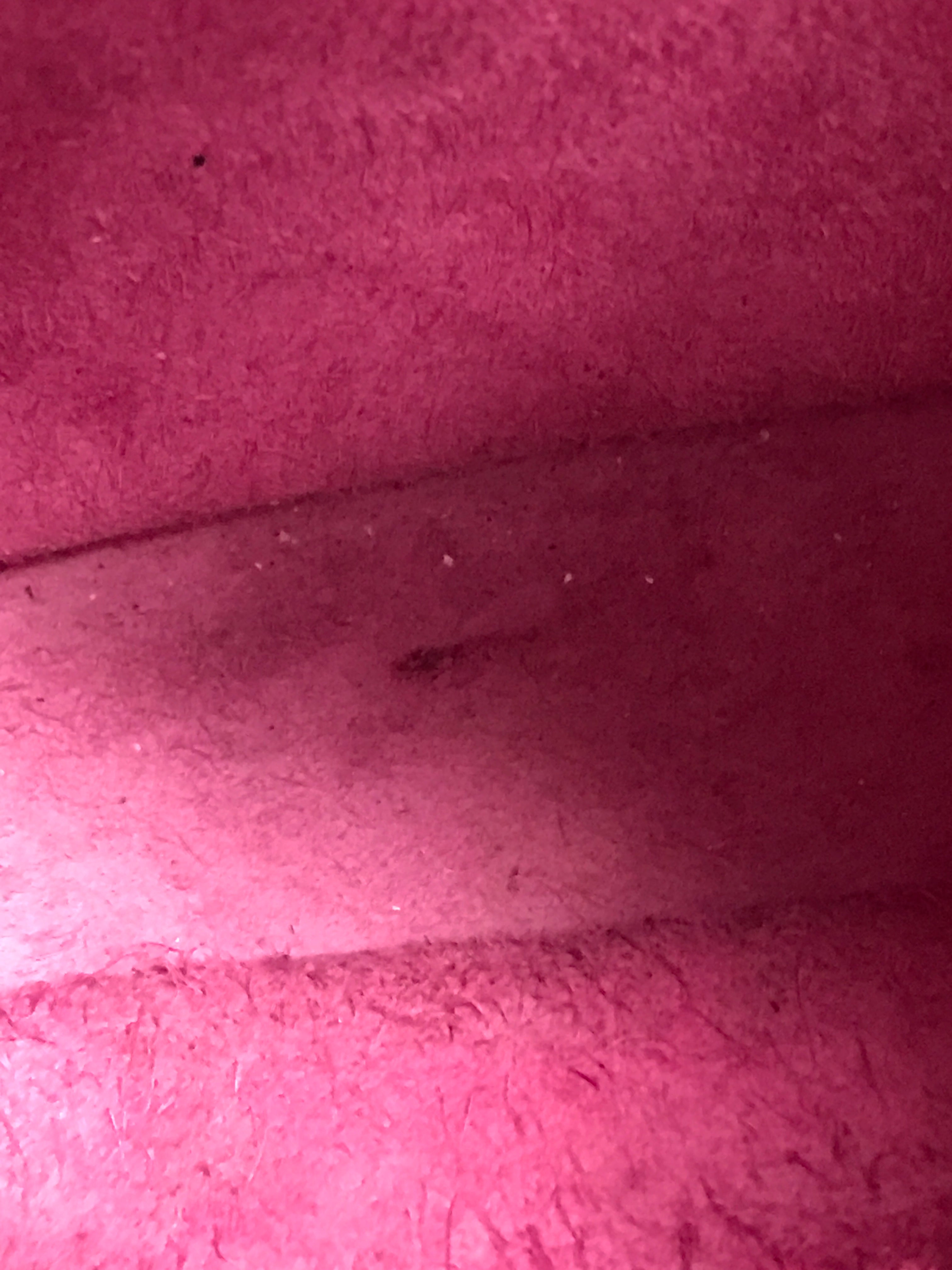 Clemence Hot Pink TPM 16 w/SHW