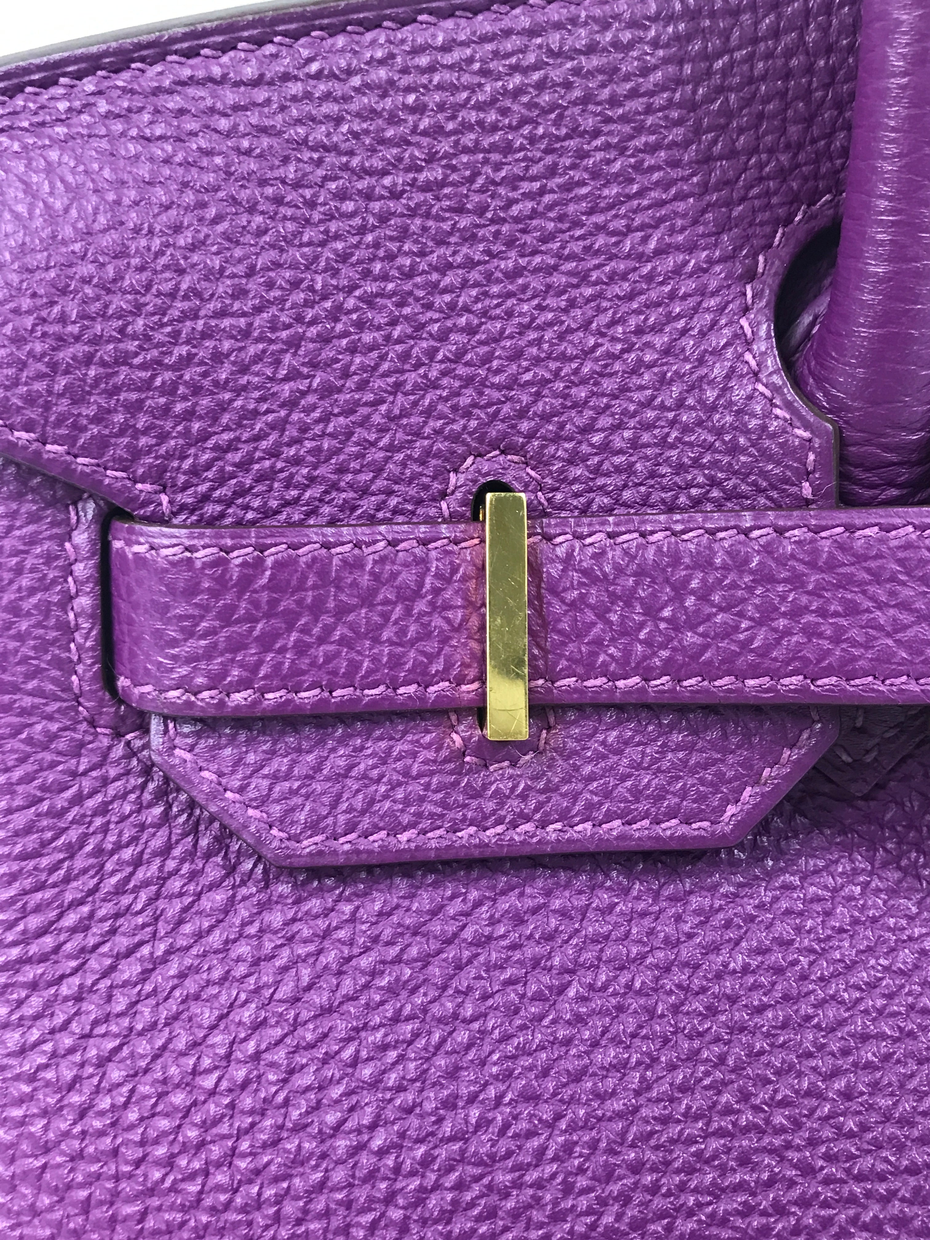 Anemone Togo Birkin 30 w/GHW