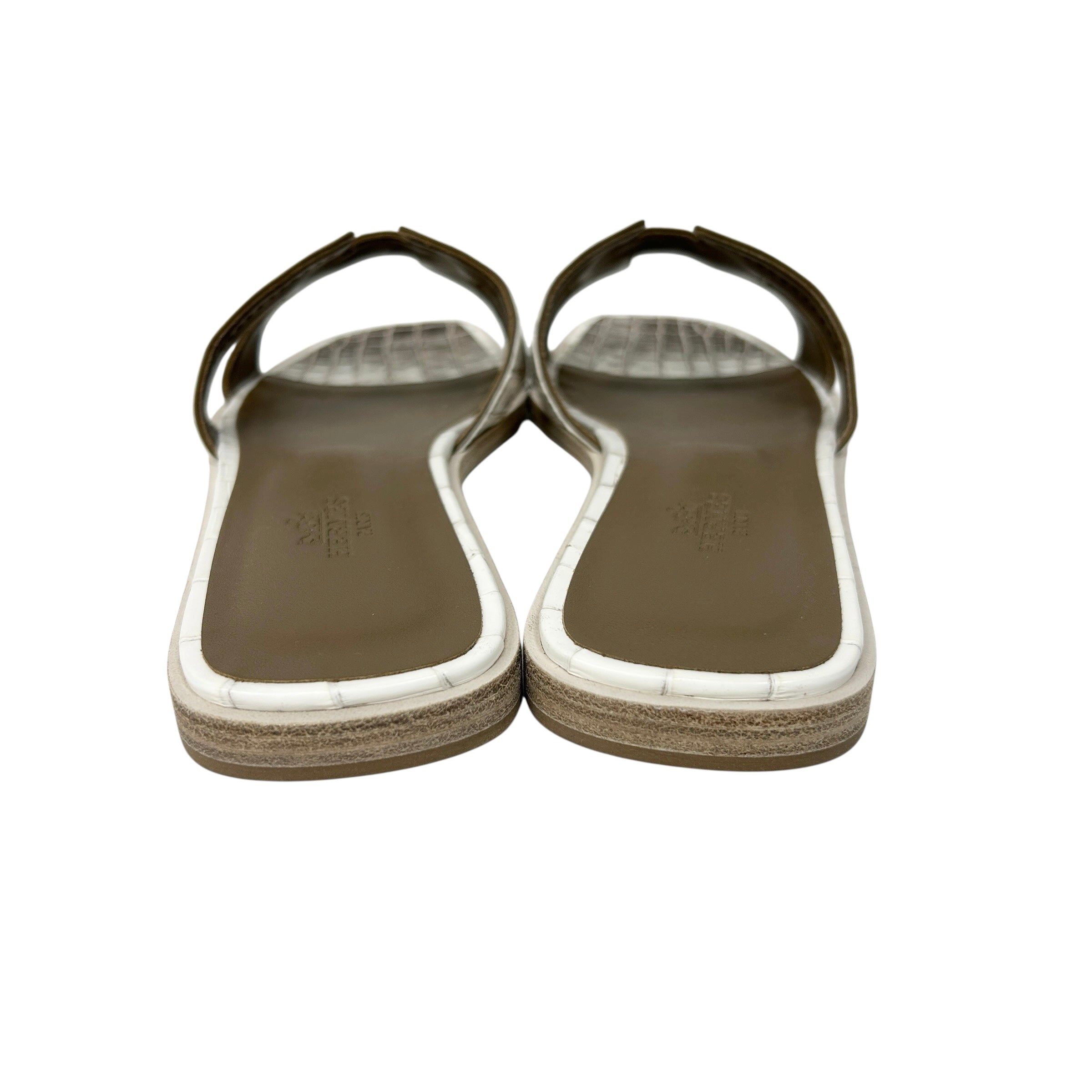 Matte Niloticus Crocodile Himalaya Oran Sandals - Haute Classics