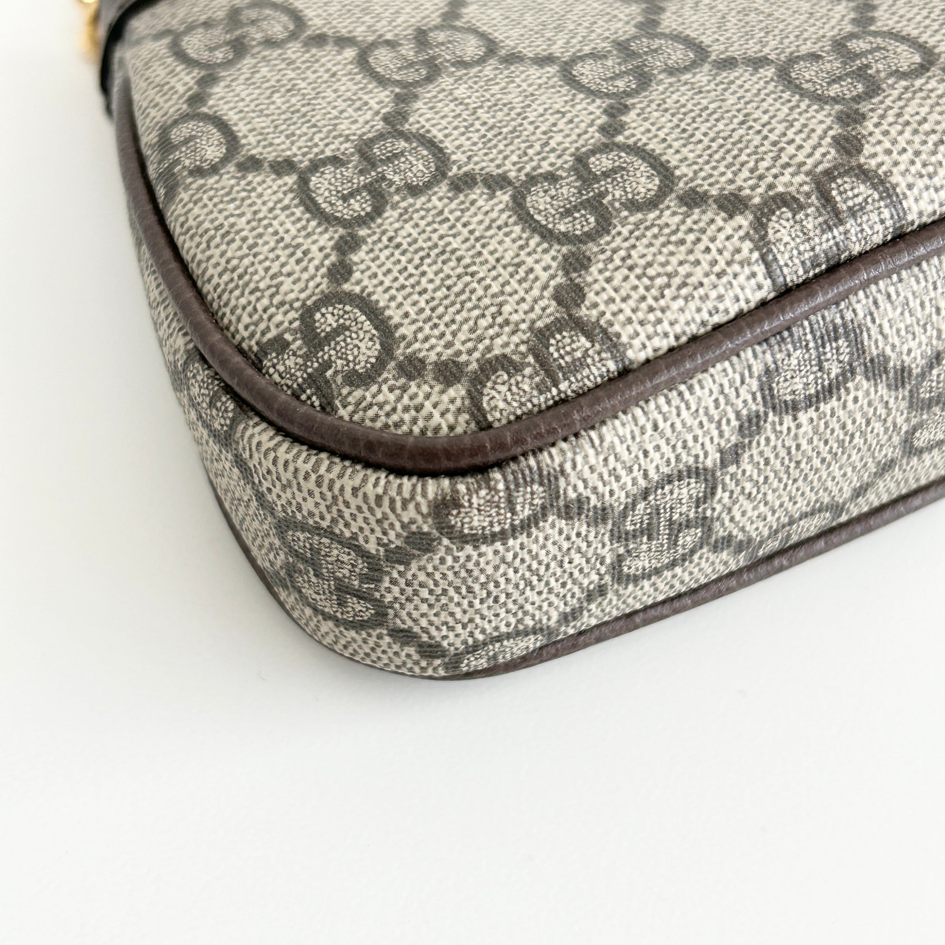 GG Canvas Ophidia Mini Bag w/GHW