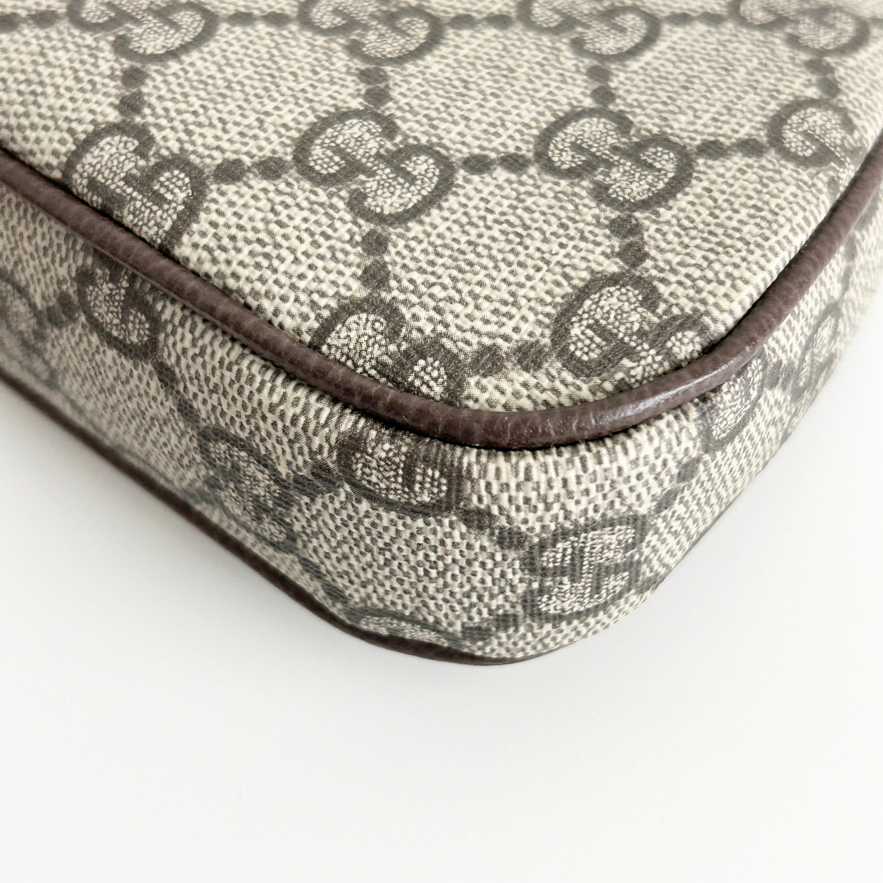 GG Canvas Ophidia Mini Bag w/GHW