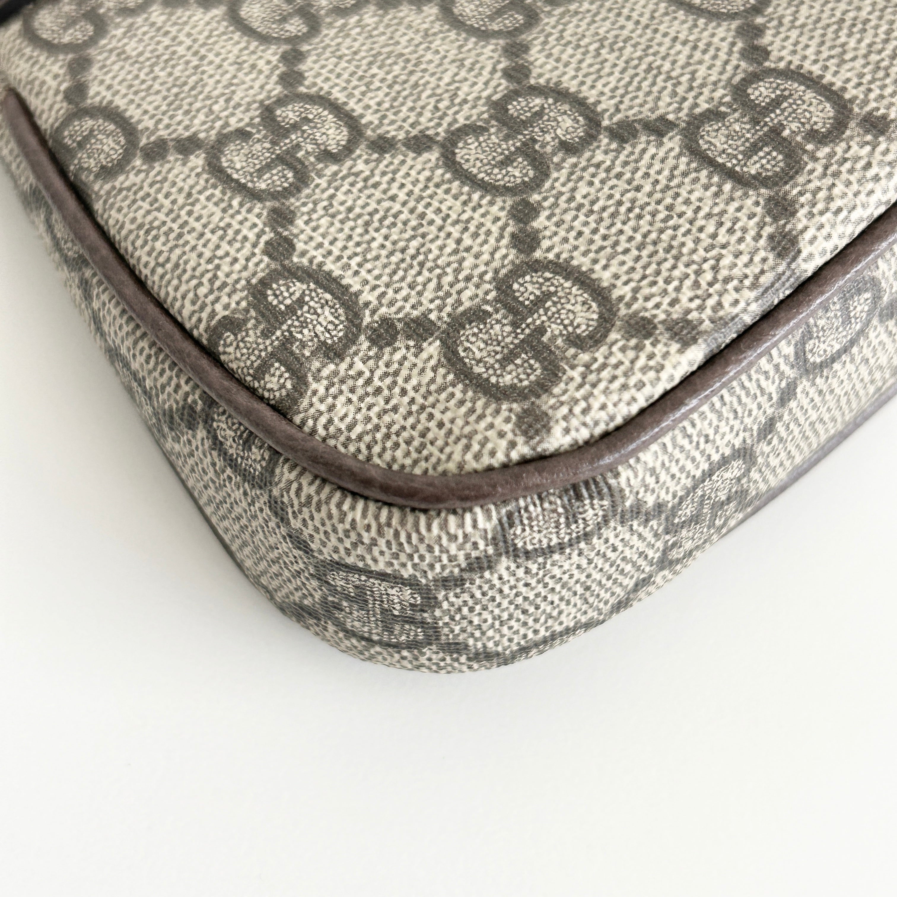 GG Canvas Ophidia Mini Bag w/GHW