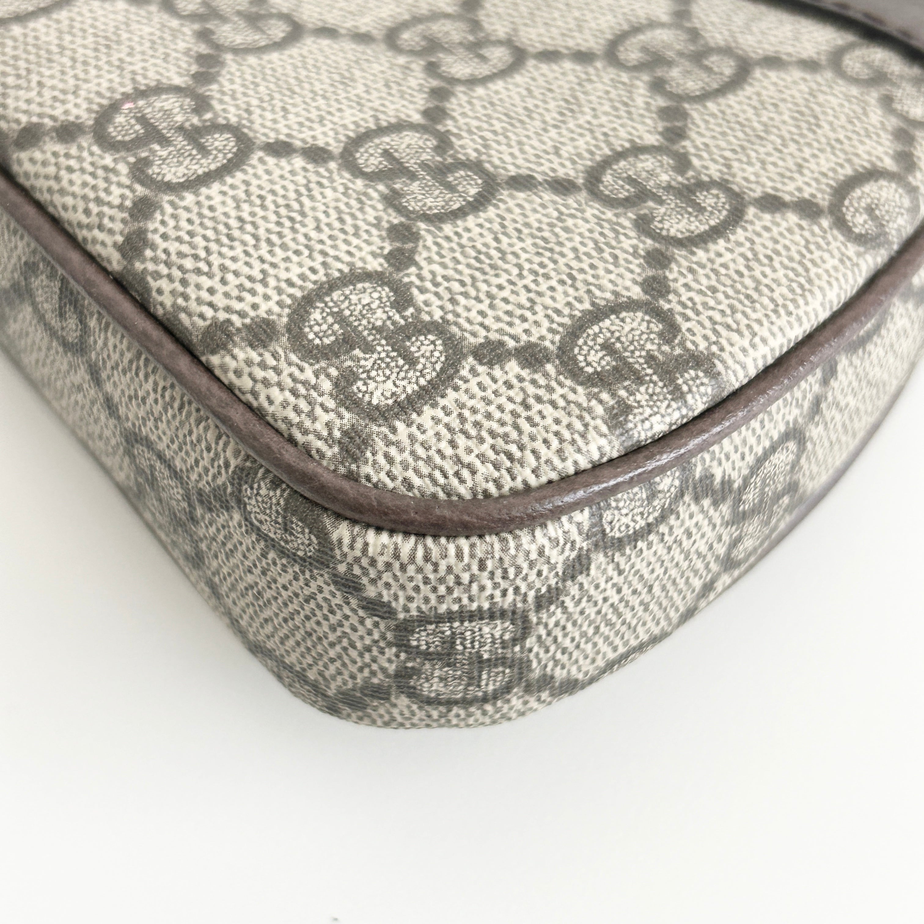 GG Canvas Ophidia Mini Bag w/GHW