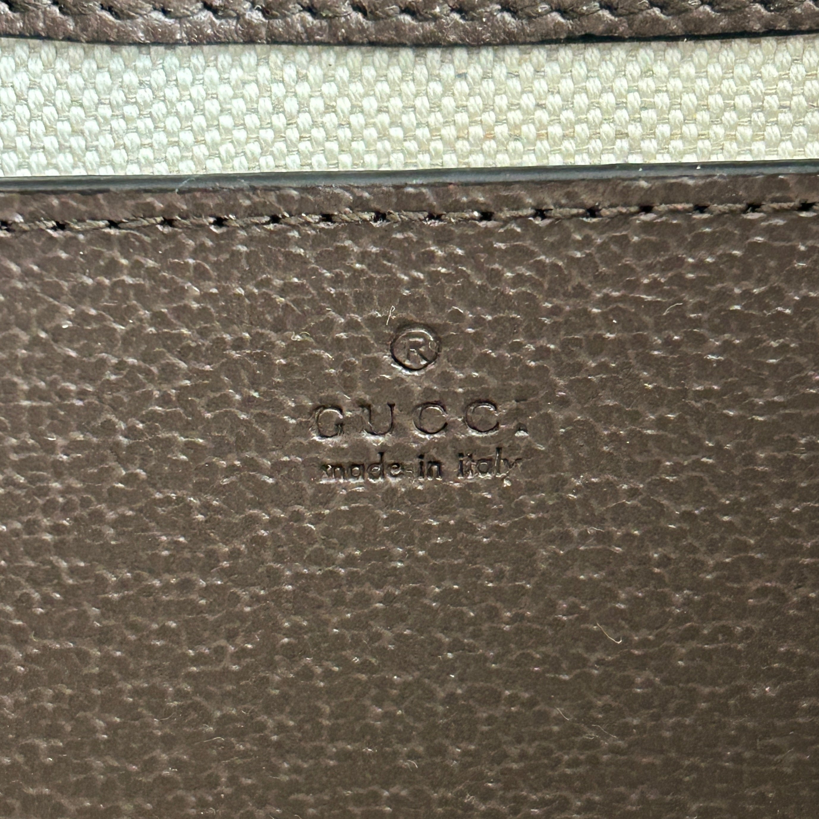 GG Canvas Ophidia Mini Bag w/GHW