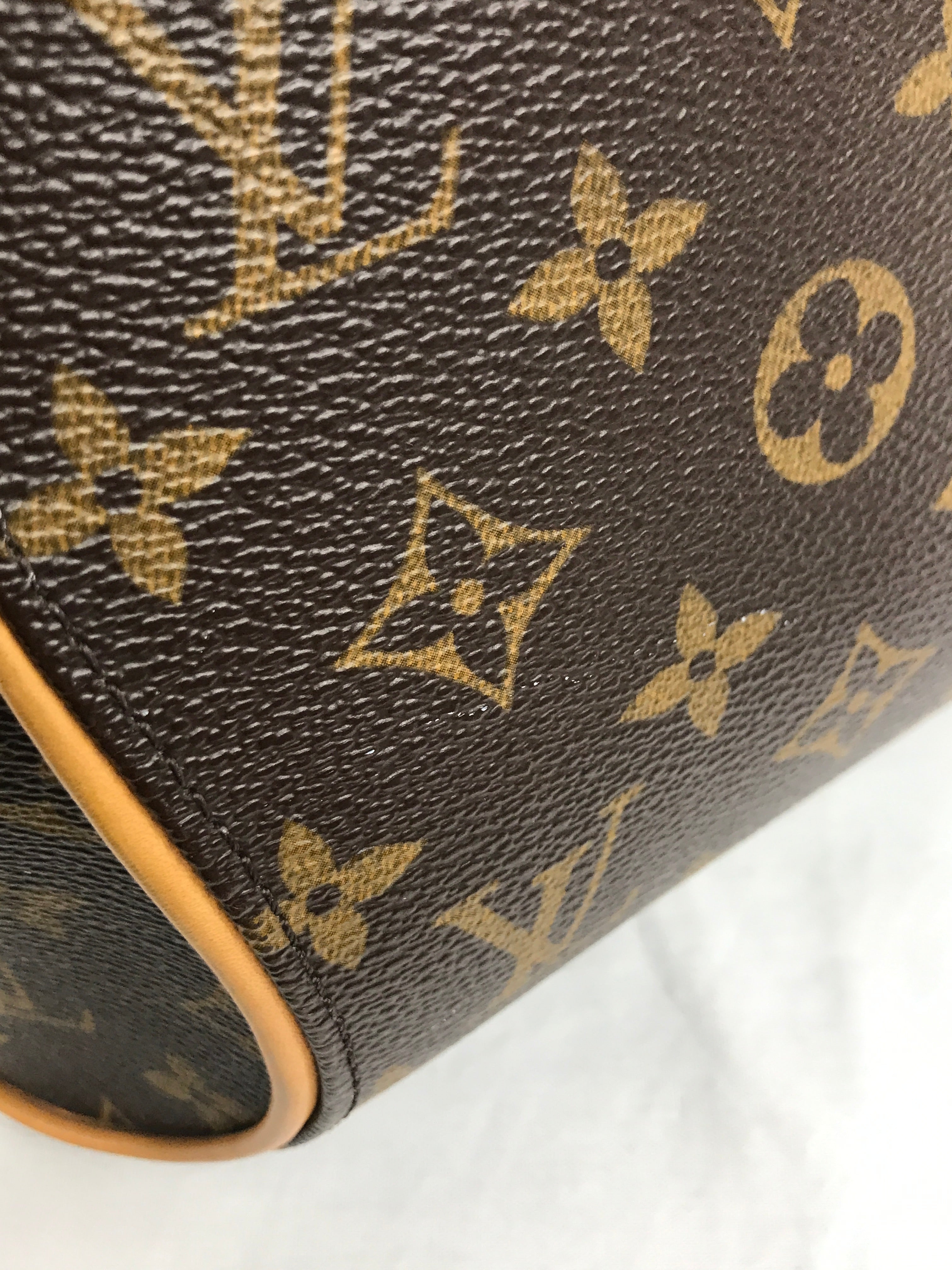 Monogram Canvas Ellipse PM Bag W/GHW