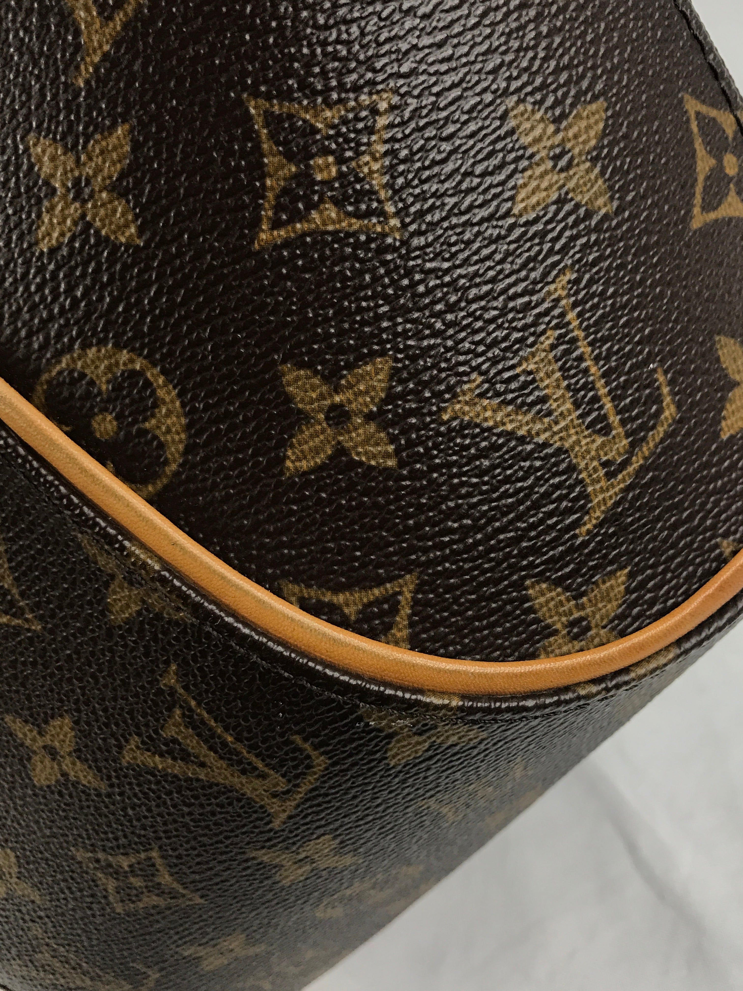 Monogram Canvas Ellipse PM Bag W/GHW