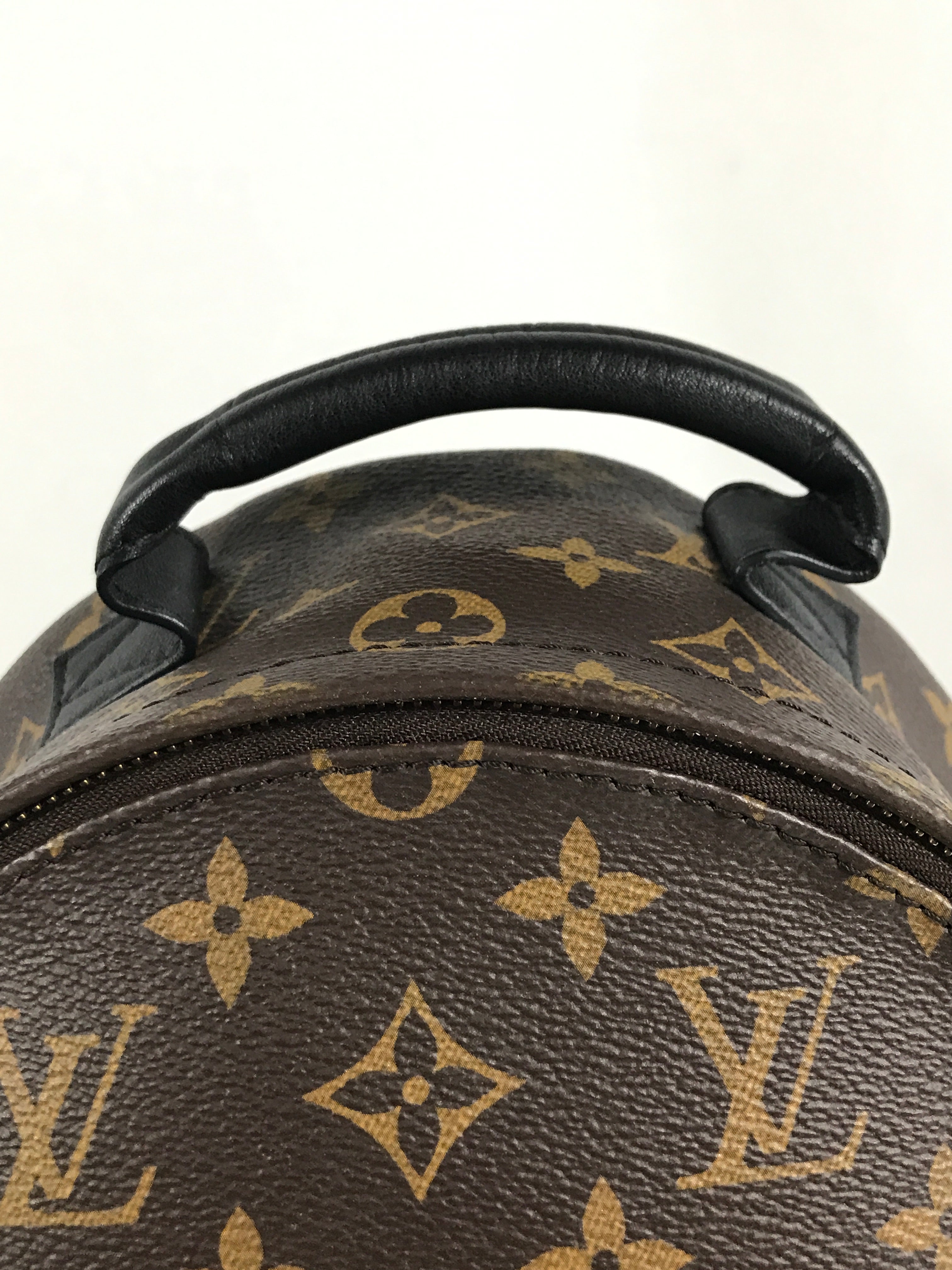 Monogram Coated Canvas Palm Springs PM Backpack w/GHW