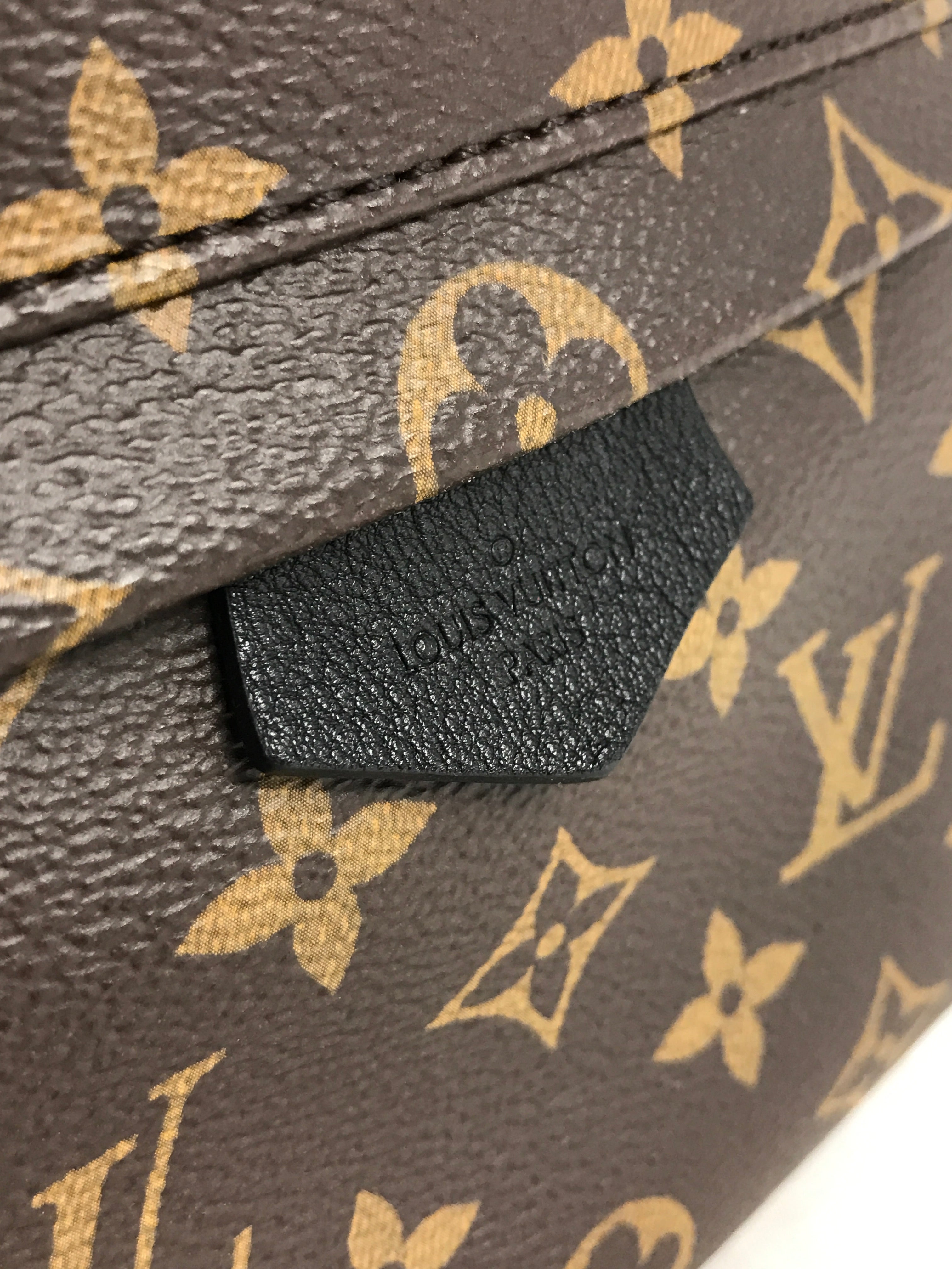 Monogram Coated Canvas Palm Springs PM Backpack w/GHW