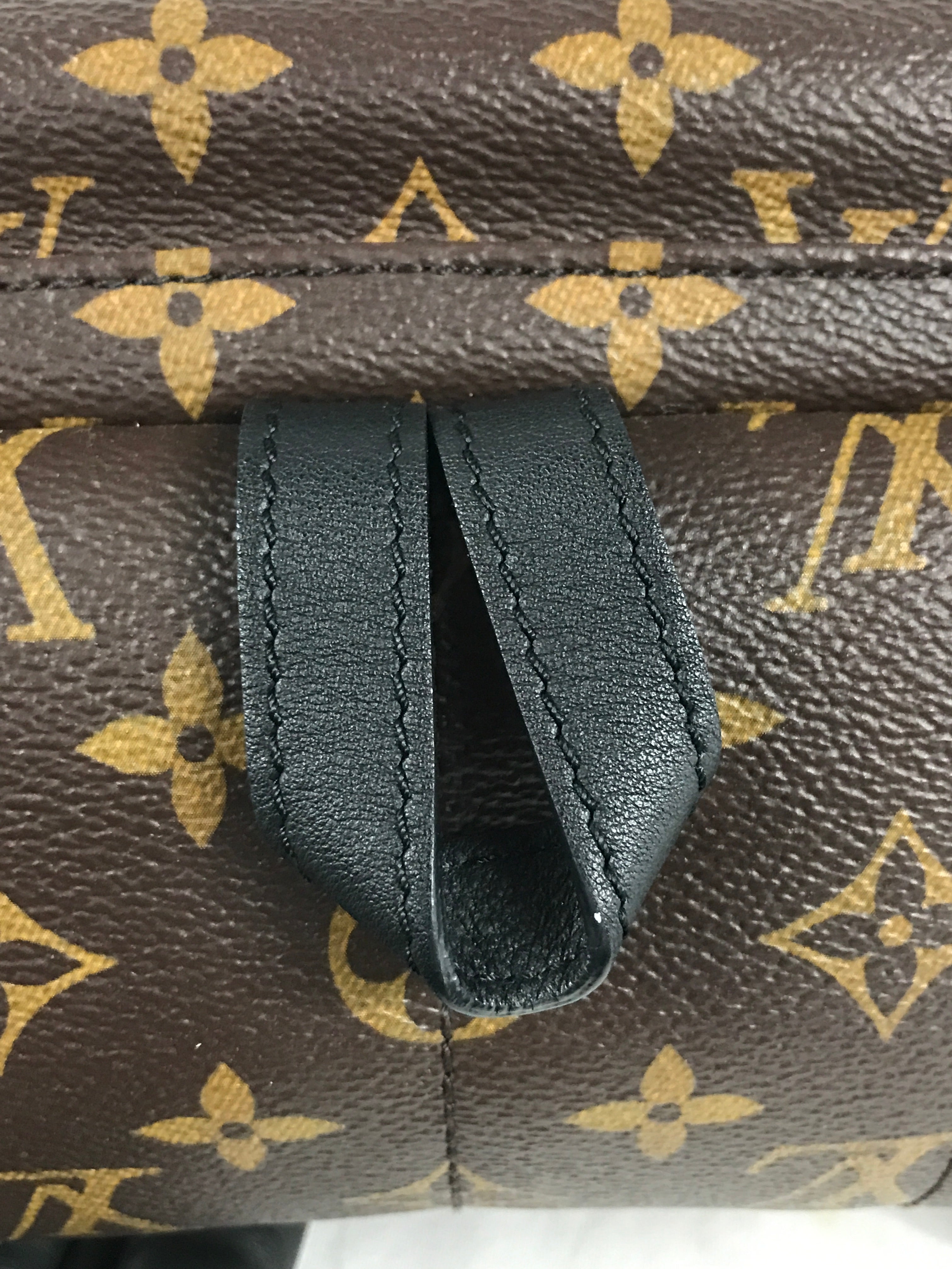 Monogram Coated Canvas Palm Springs PM Backpack w/GHW