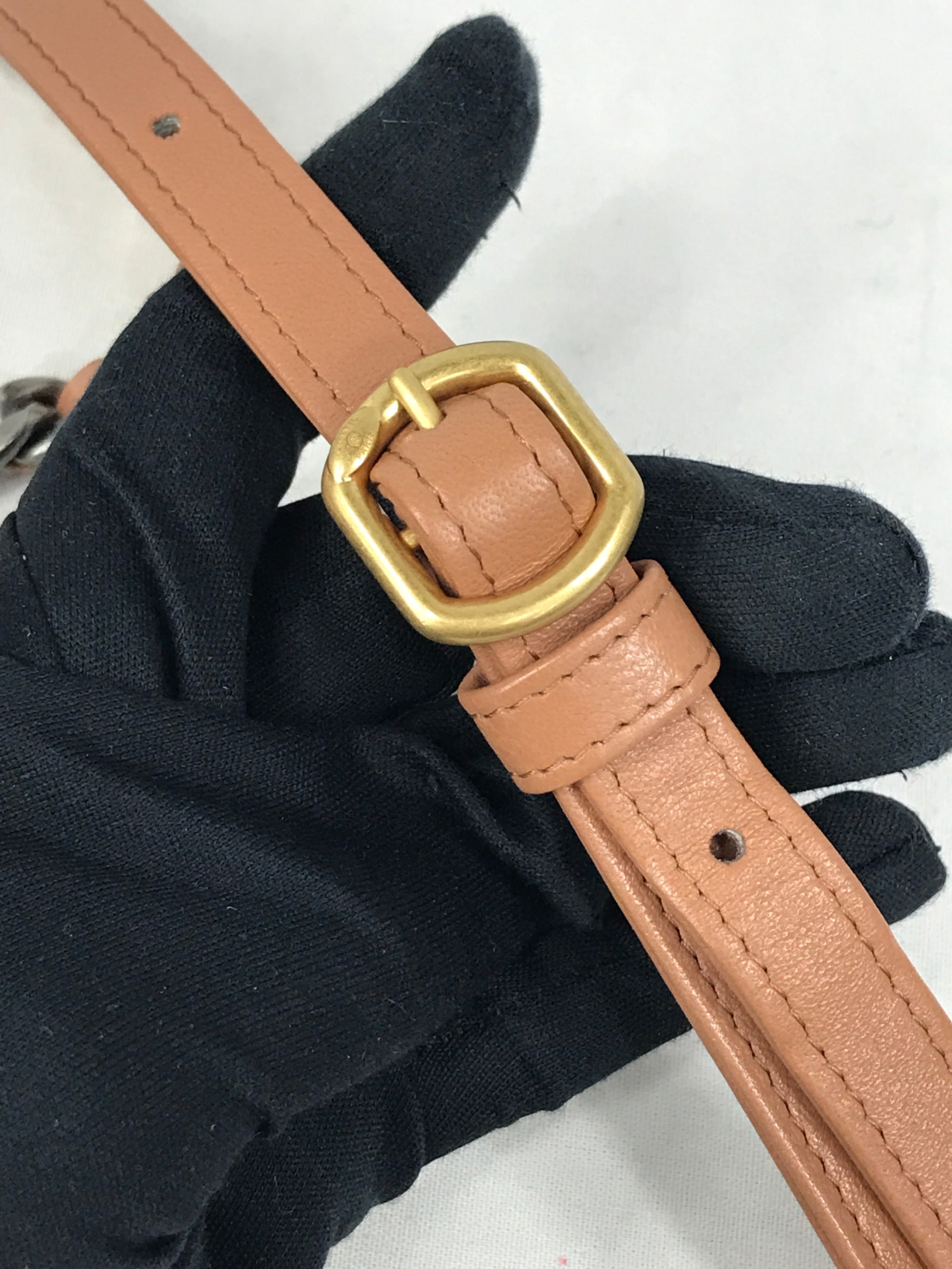 Camel Quilted Mini Lambskin 19 Waist Belt Bag w/GHW/SHW/AGW/RHW