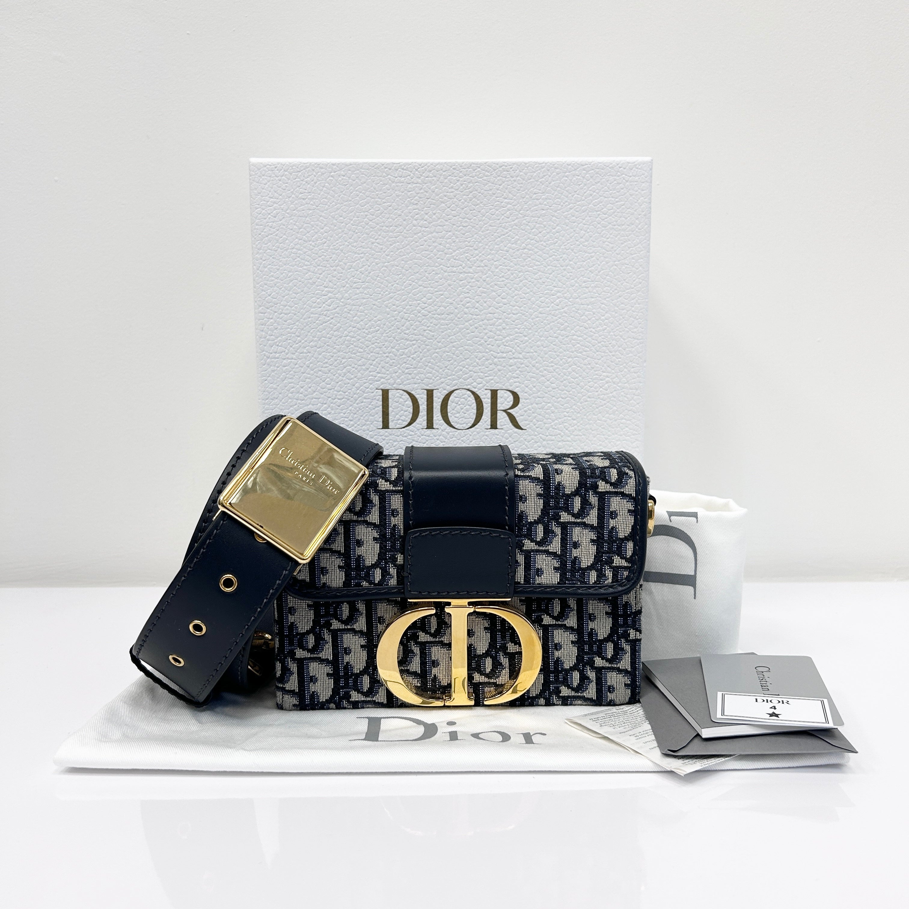 Trotter 30 Montaigne Oblique Jacquard Box Bag w/GHW