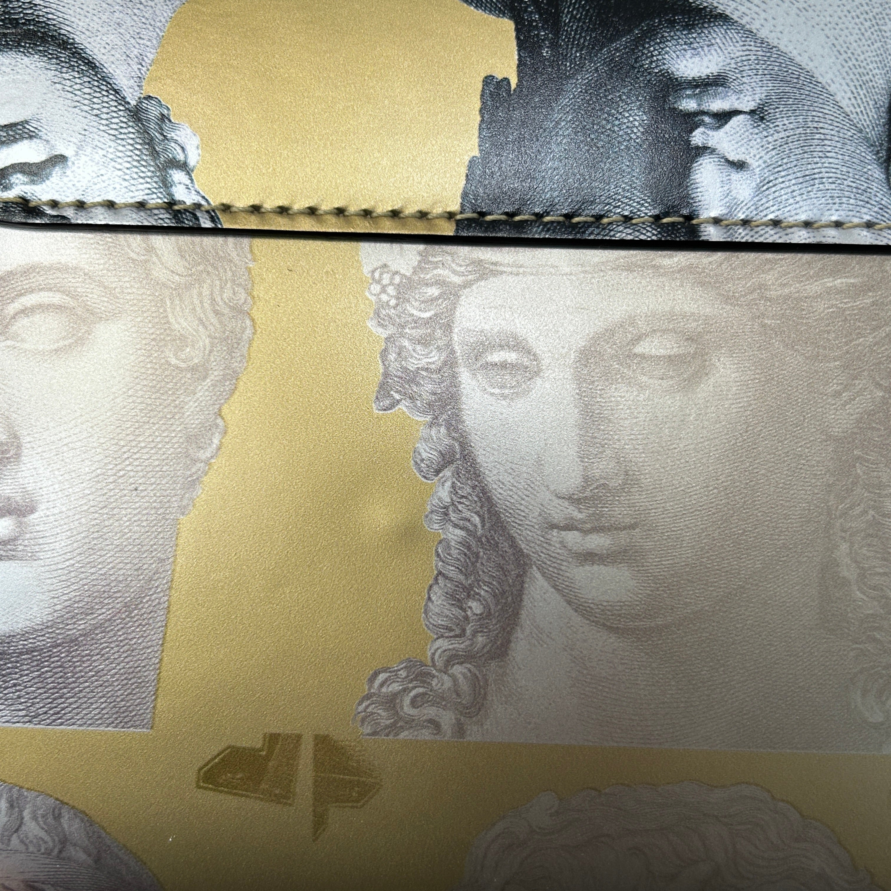 2021 Special Collection Faded Portrait Twist MM Bag w/GHW