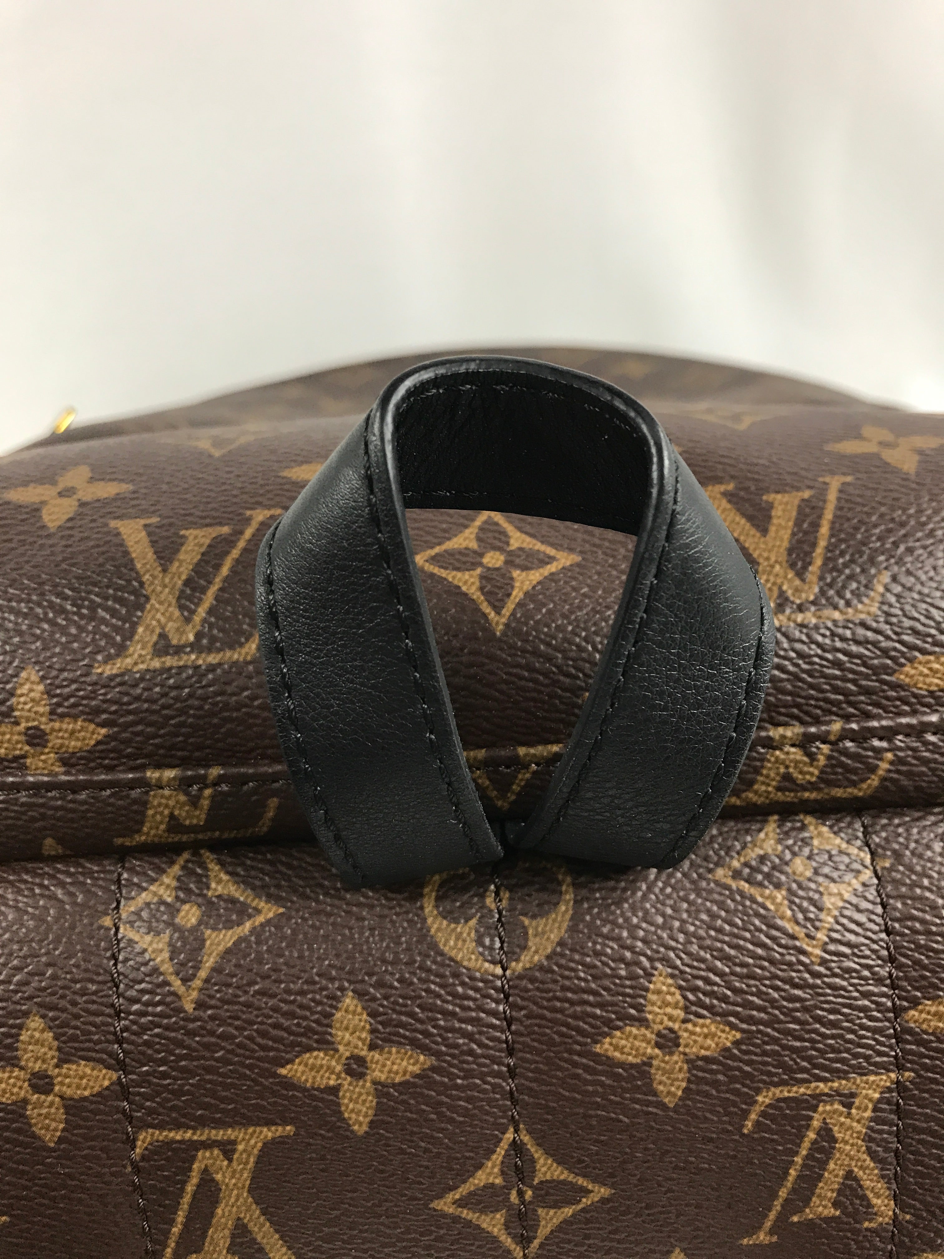 Monogram Coated Canvas Palm Springs MM Backpack w/GHW