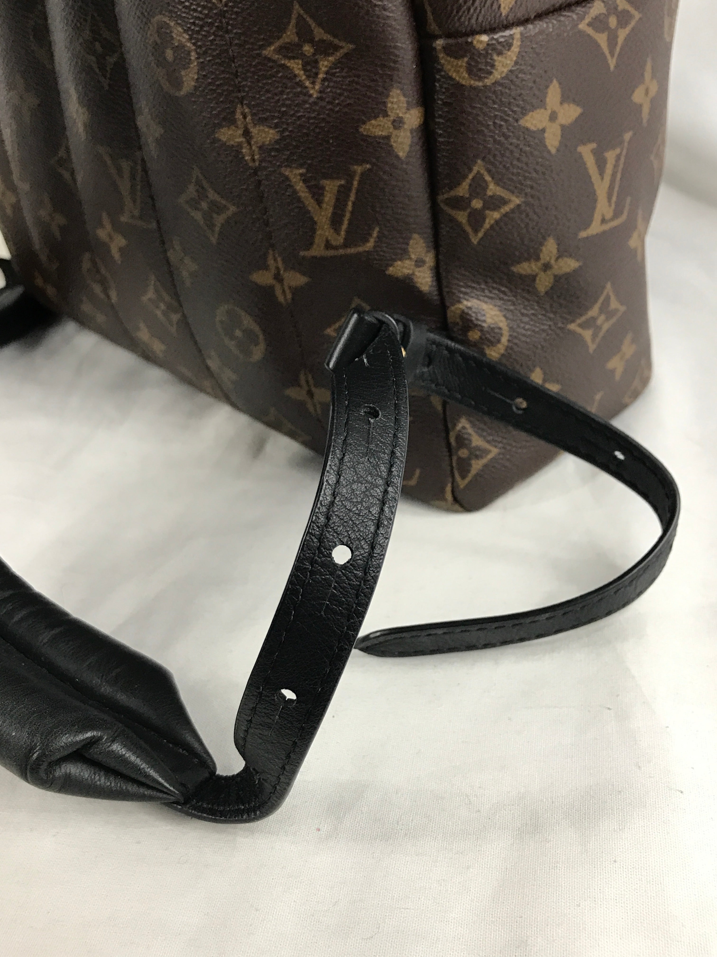 Monogram Coated Canvas Palm Springs MM Backpack w/GHW