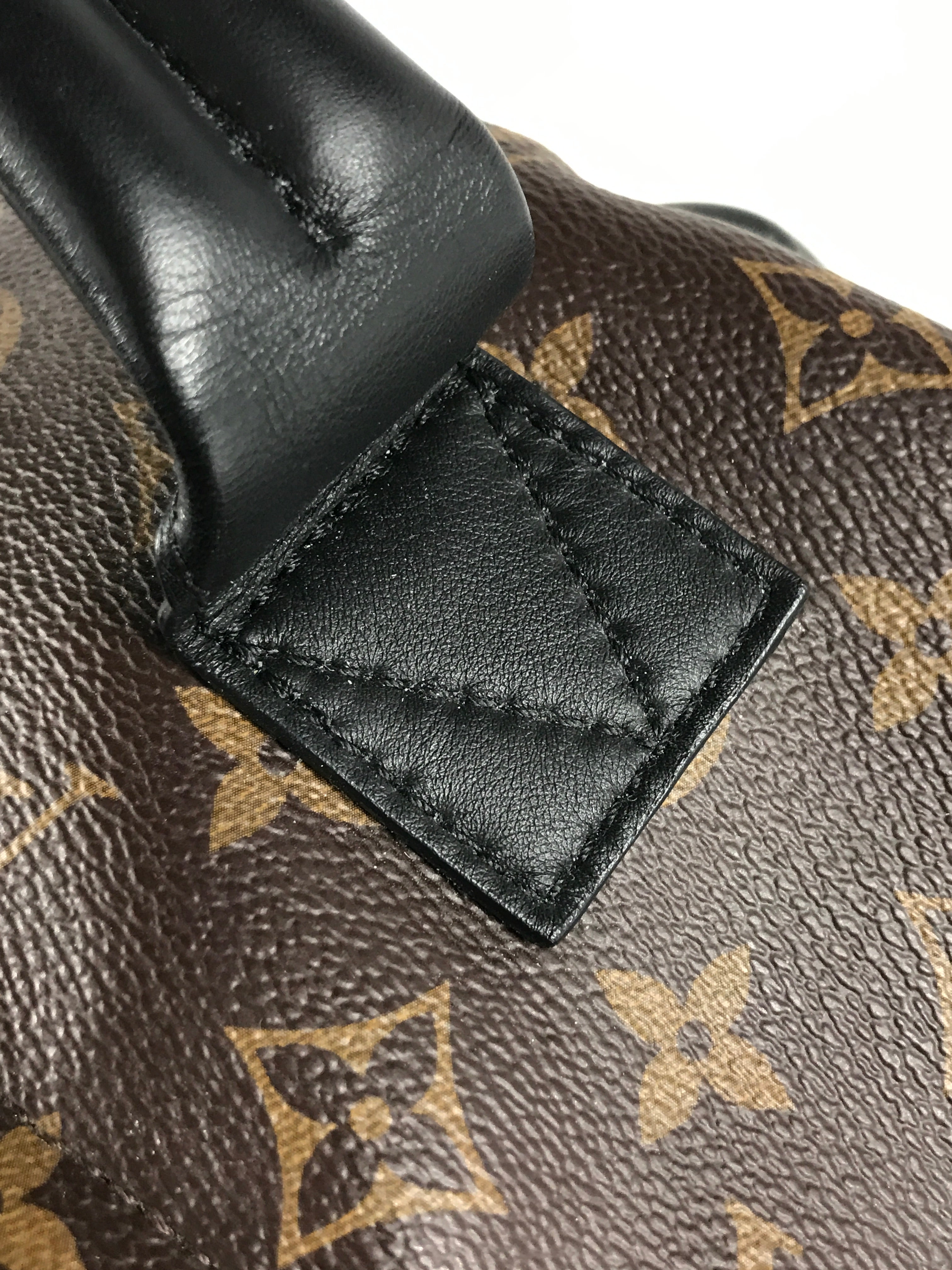 Monogram Coated Canvas Palm Springs MM Backpack w/GHW