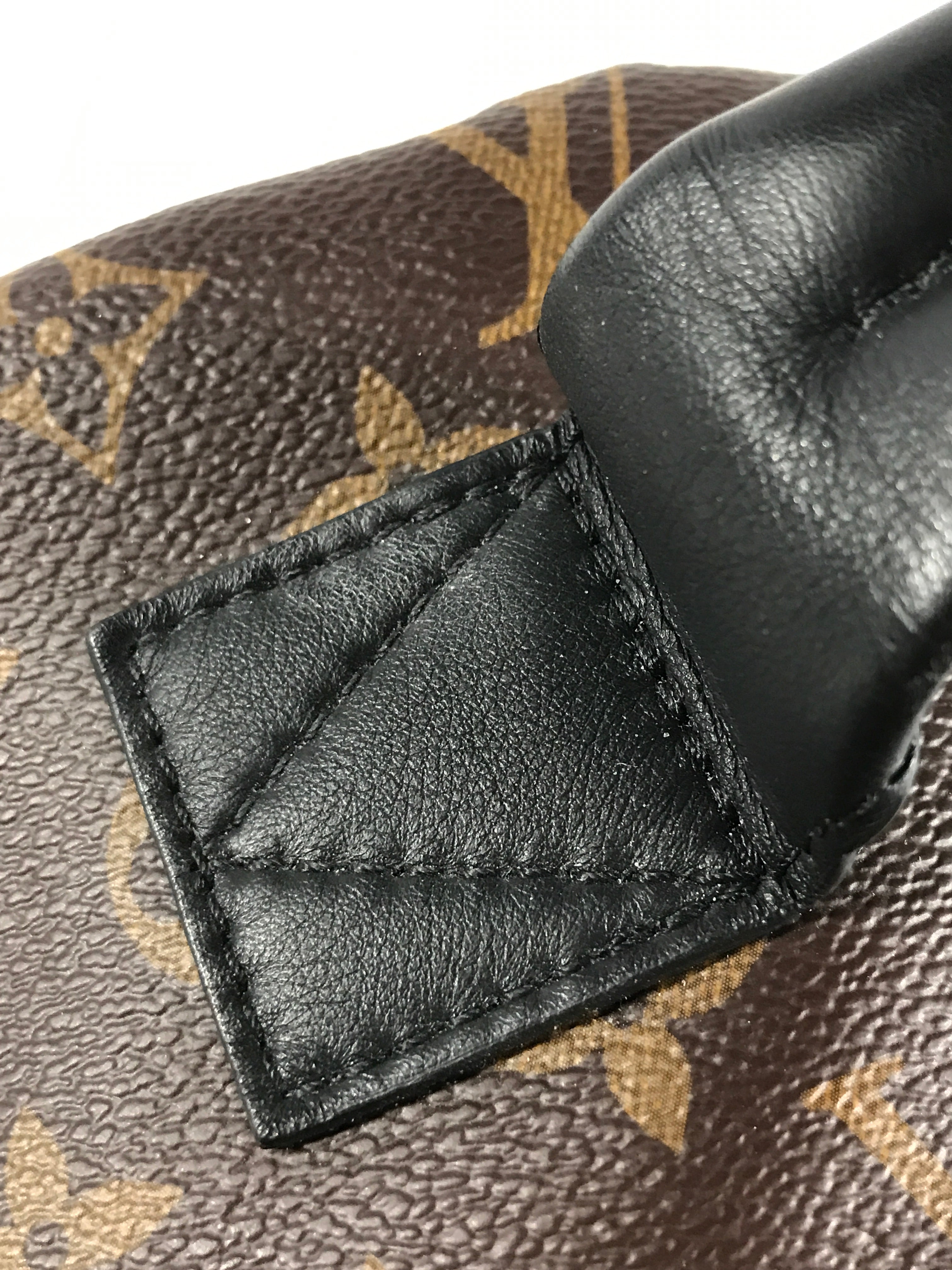 Monogram Coated Canvas Palm Springs MM Backpack w/GHW