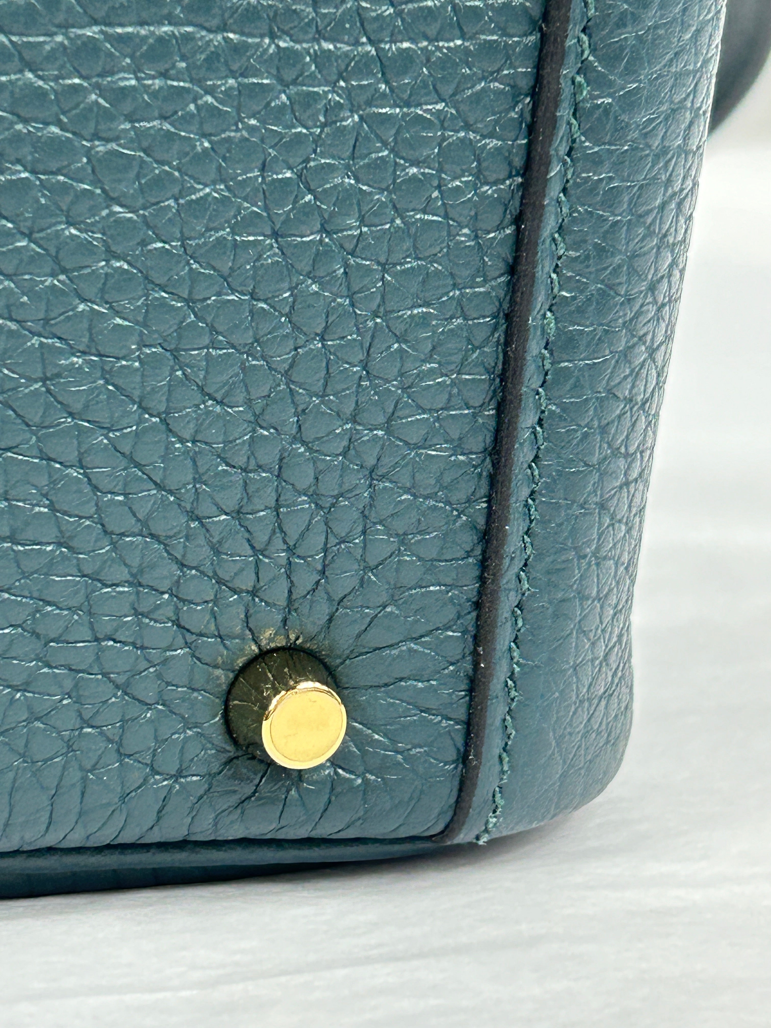 Vert Cypress Clemence leather Mini Lindy w/GHW