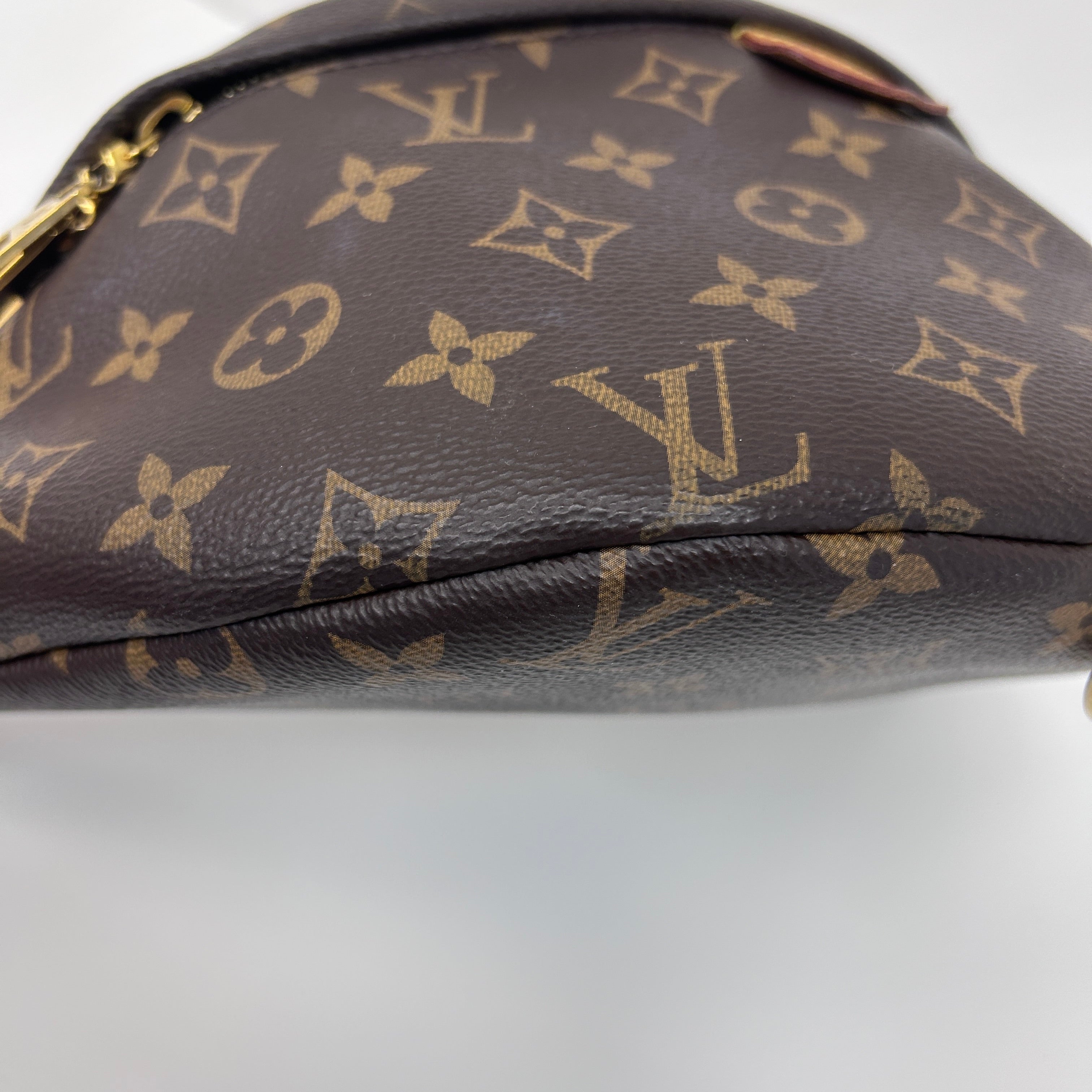 Monogram Coated Canvas Bum Bag w/GHW