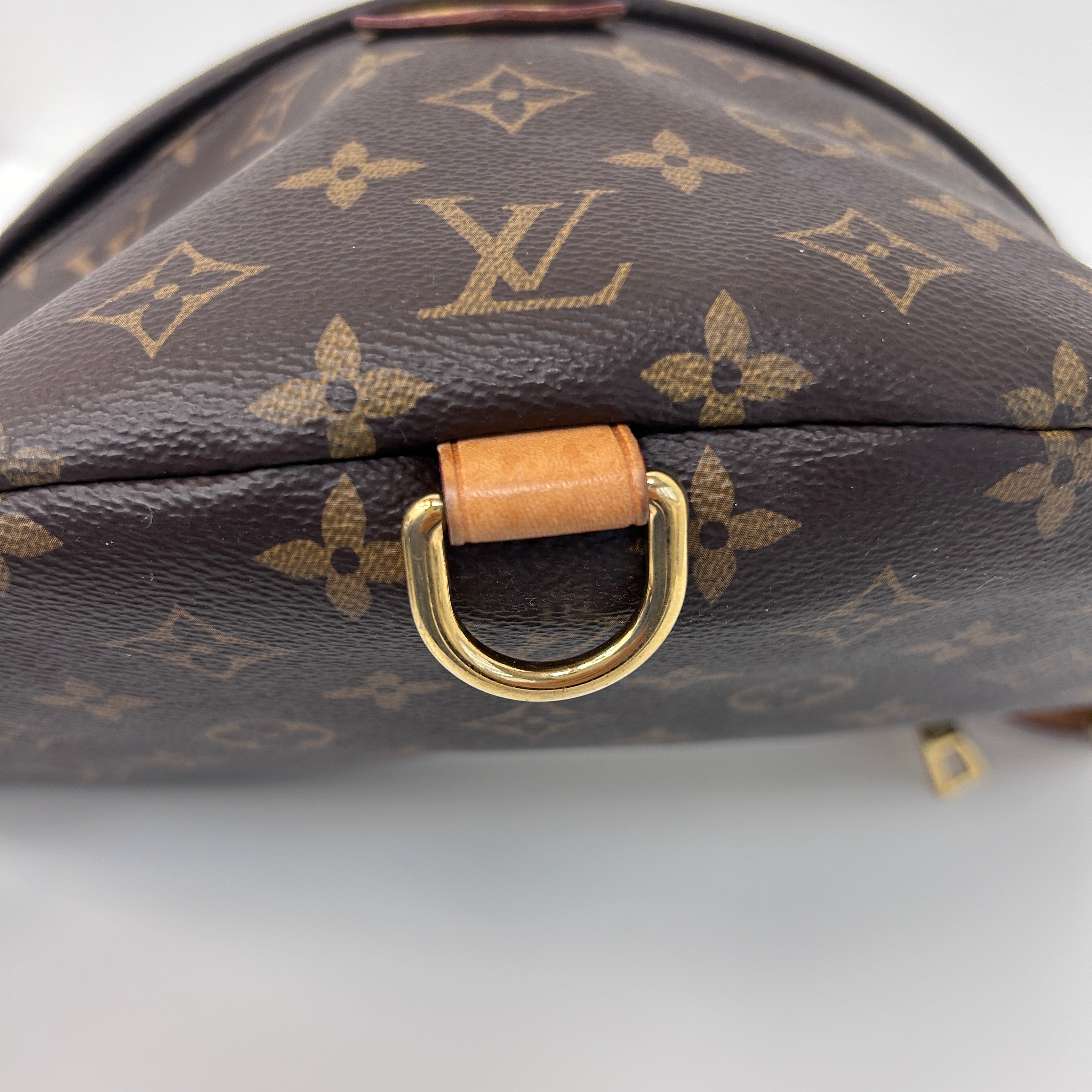 Monogram Coated Canvas Bum Bag w/GHW