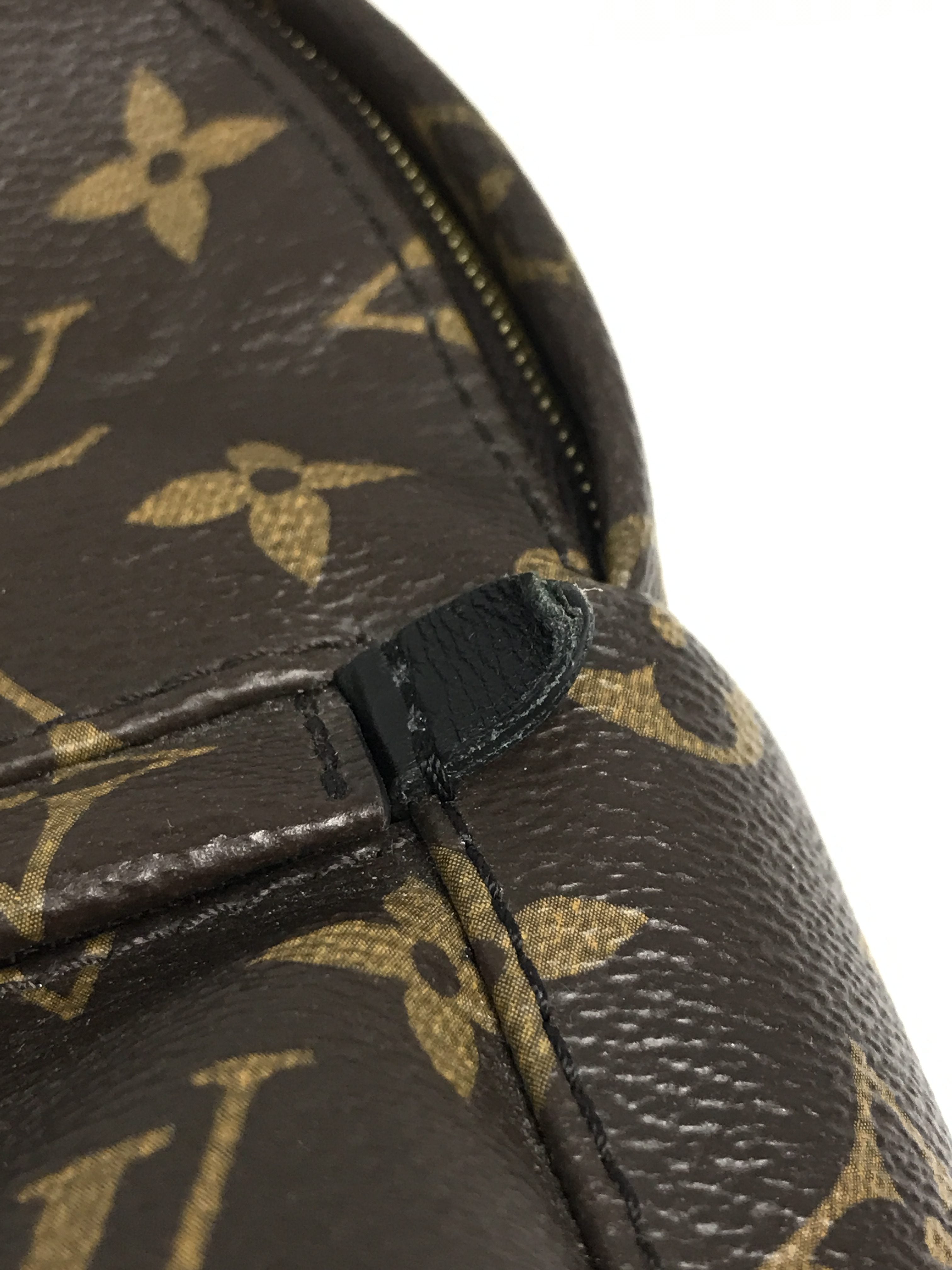 Monogram Coated Canvas Palm Springs Mini Backpack w/ GHW