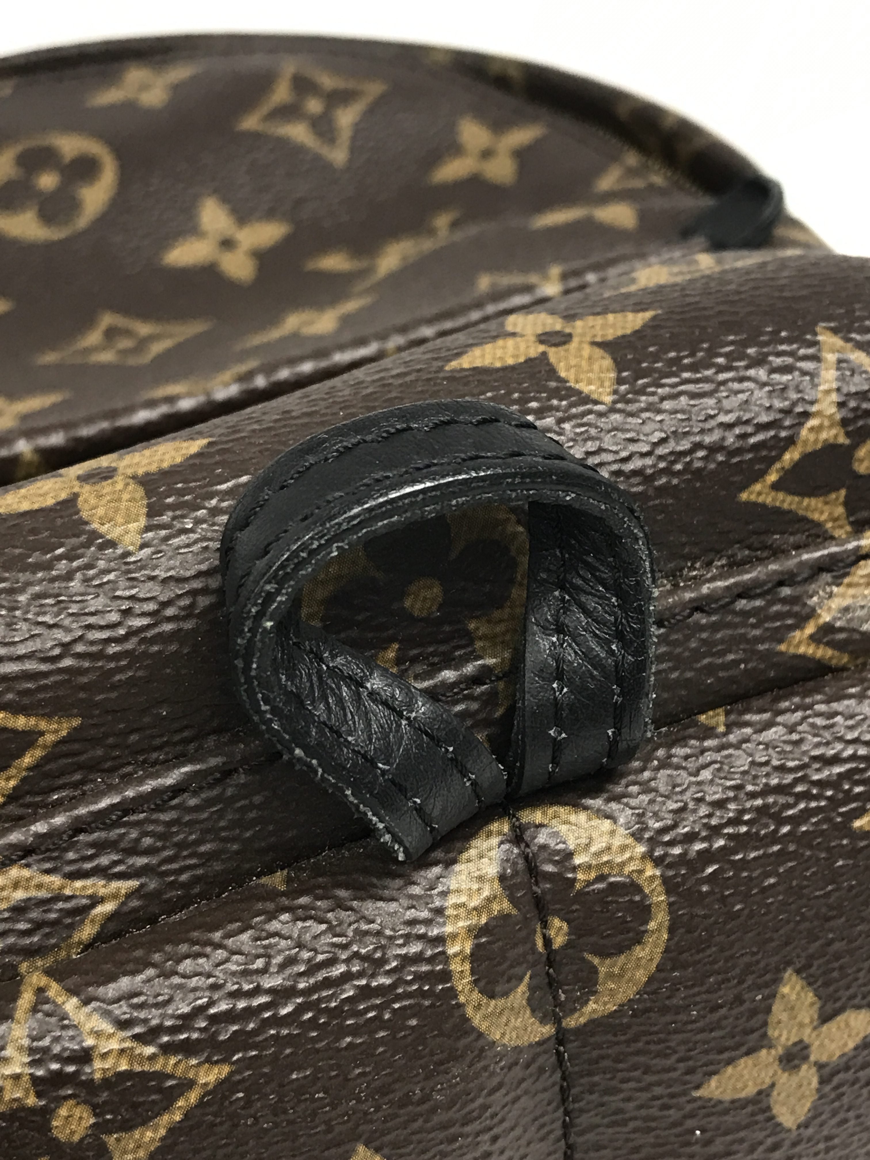 Monogram Coated Canvas Palm Springs Mini Backpack w/ GHW