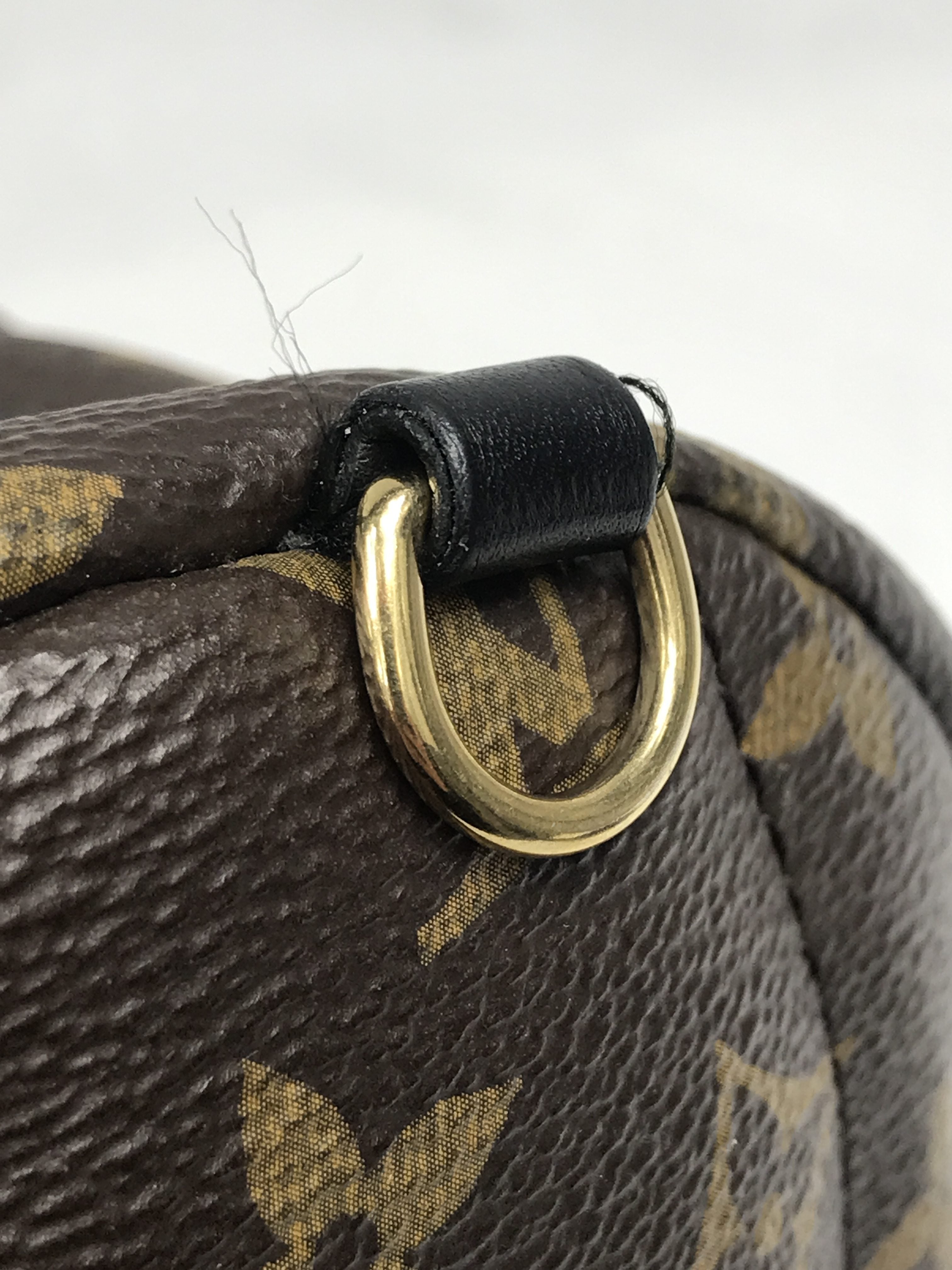 Monogram Coated Canvas Palm Springs Mini Backpack w/ GHW