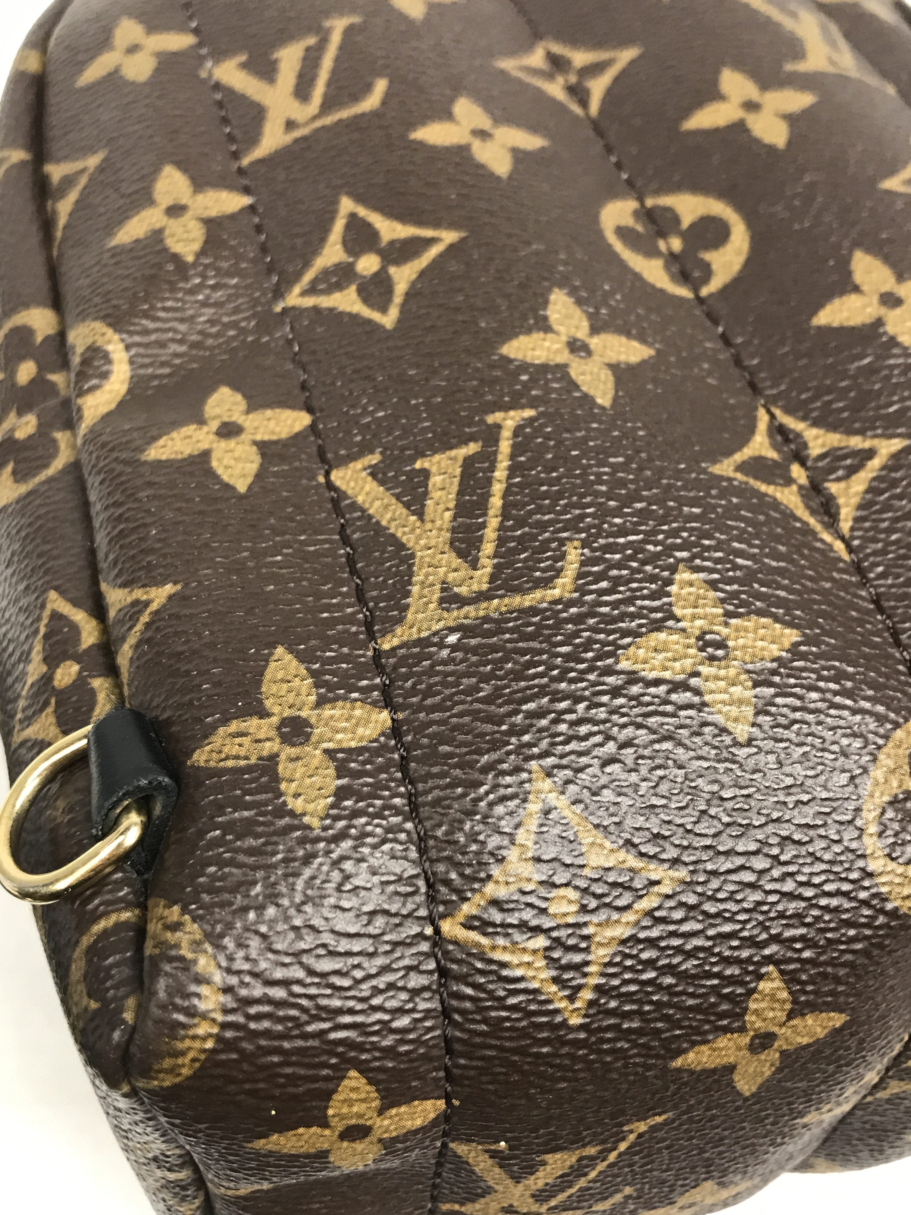 Monogram Coated Canvas Palm Springs Mini Backpack w/ GHW