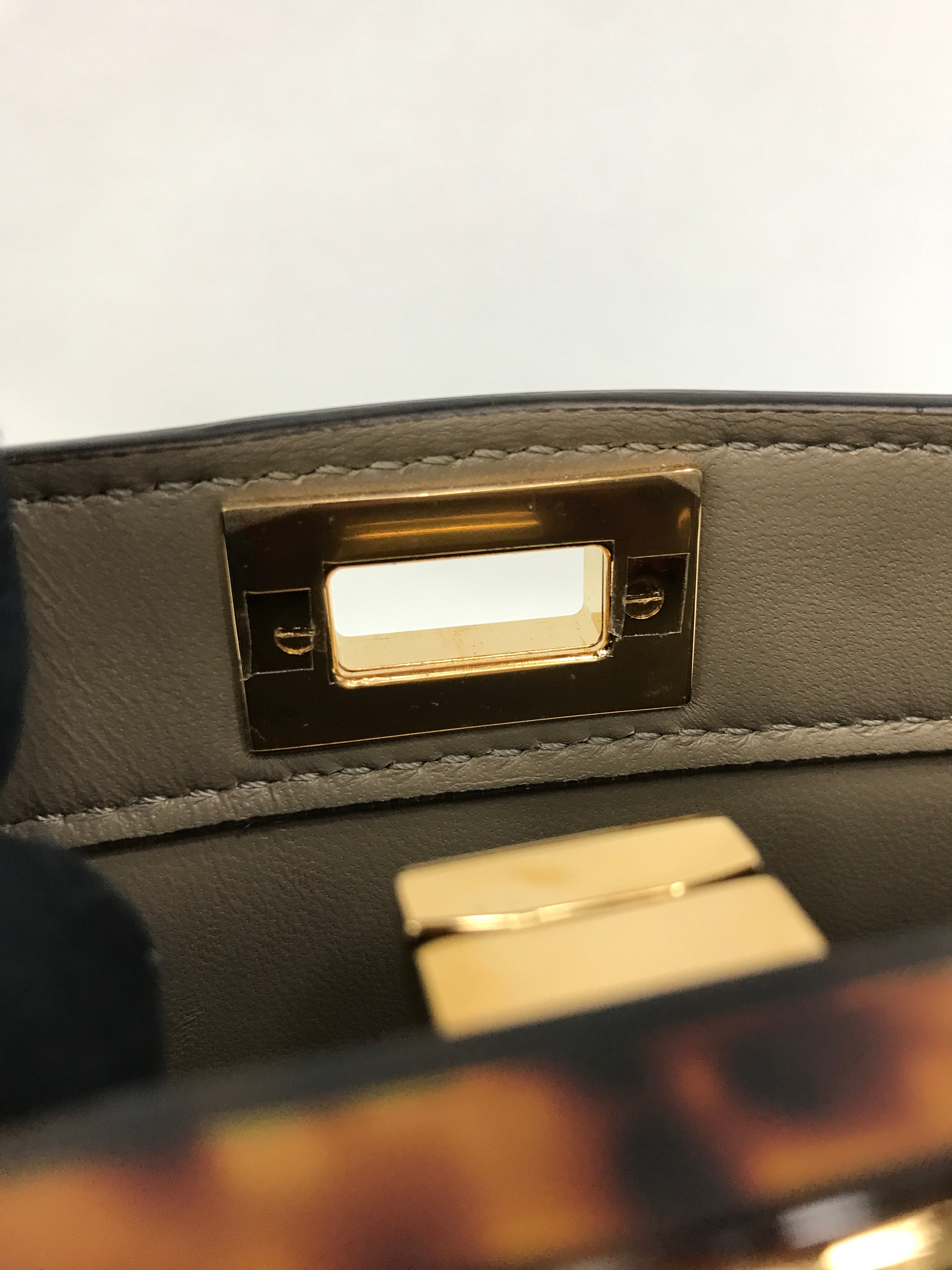 Dove Grey Nappa Leather Peakaboo ISeeU Petite Tortoiseshell-effect plexiglass Bag w/ GHW