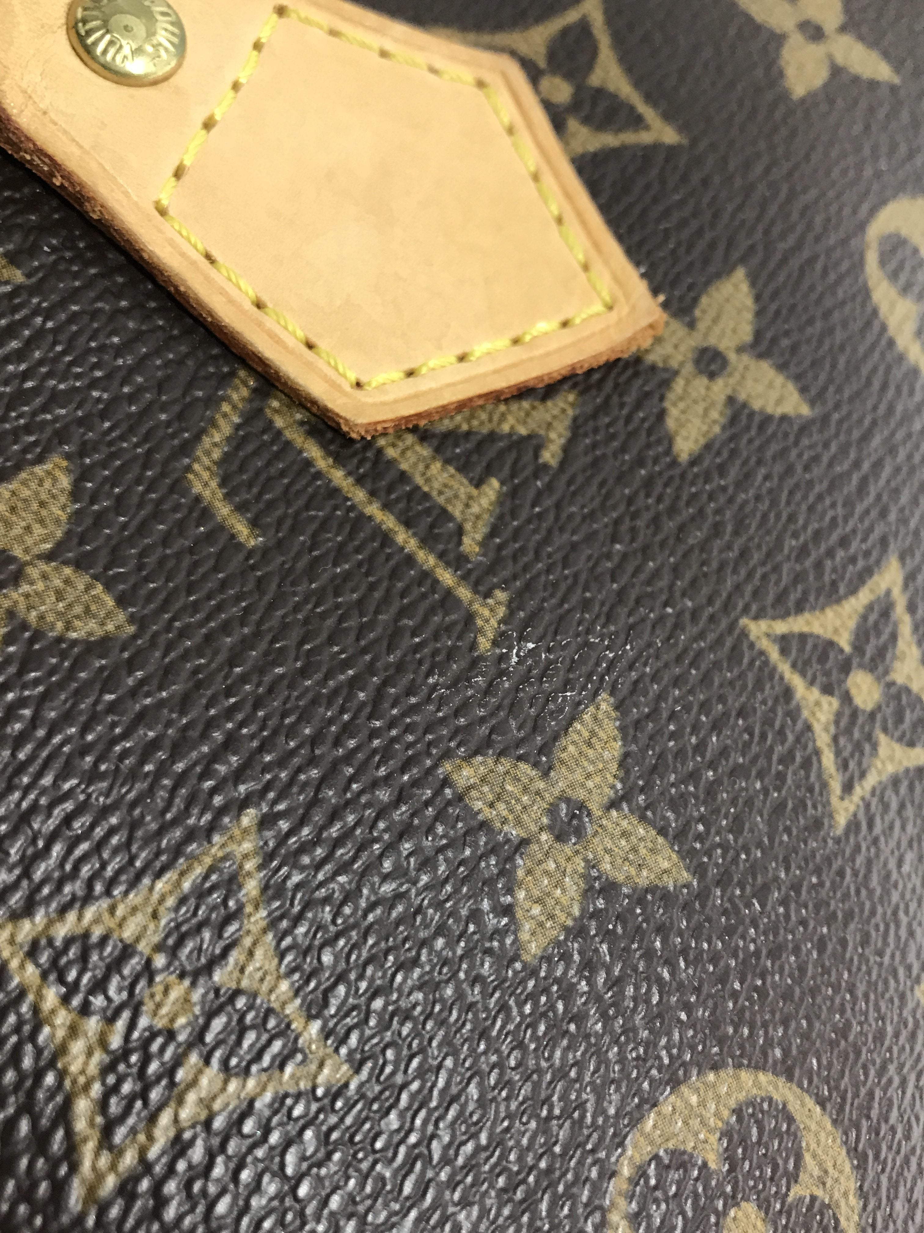 Monogram Canvas Speedy 30 W/GHW