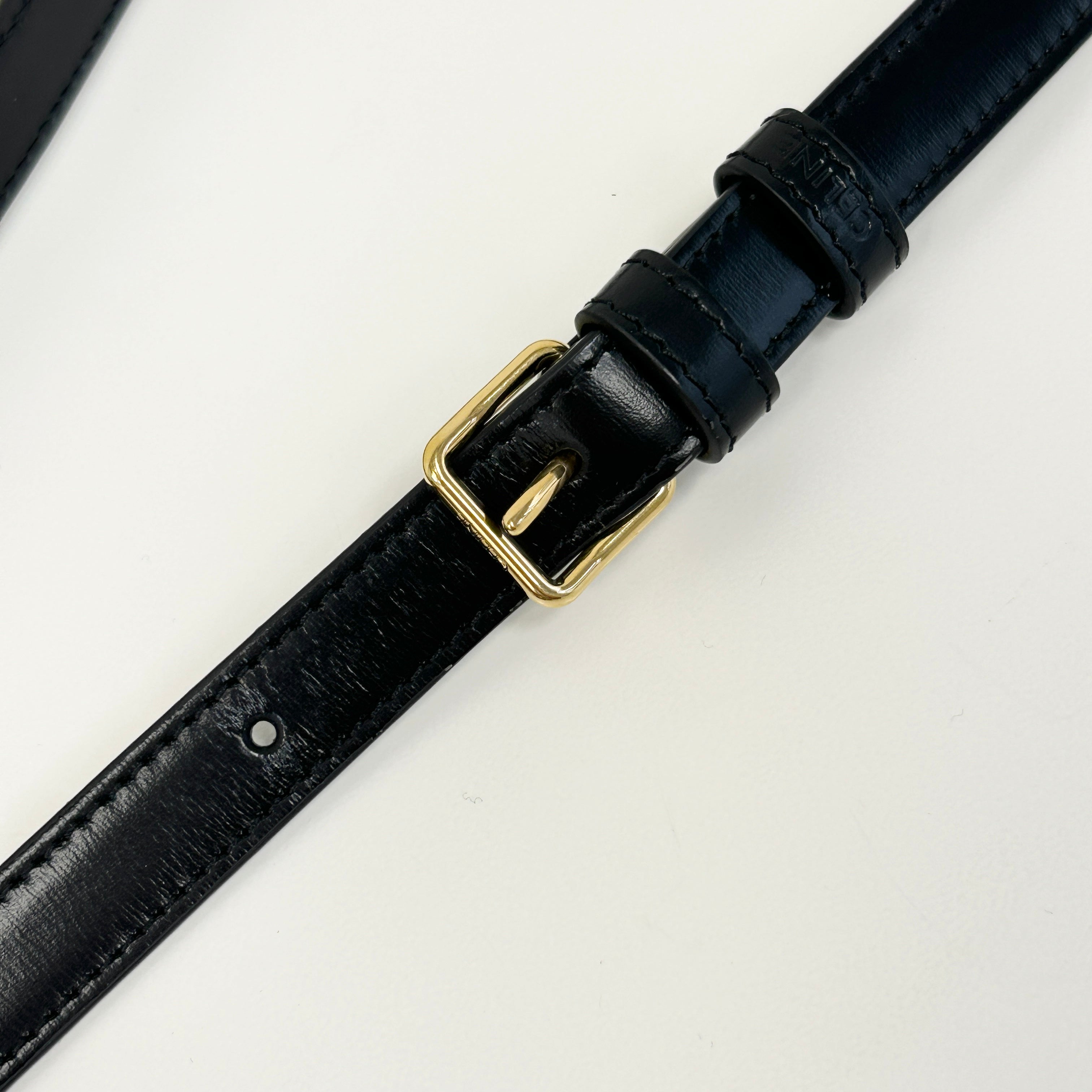 Black Shiny Calfskin Teen Triomphe Bag w/GHW