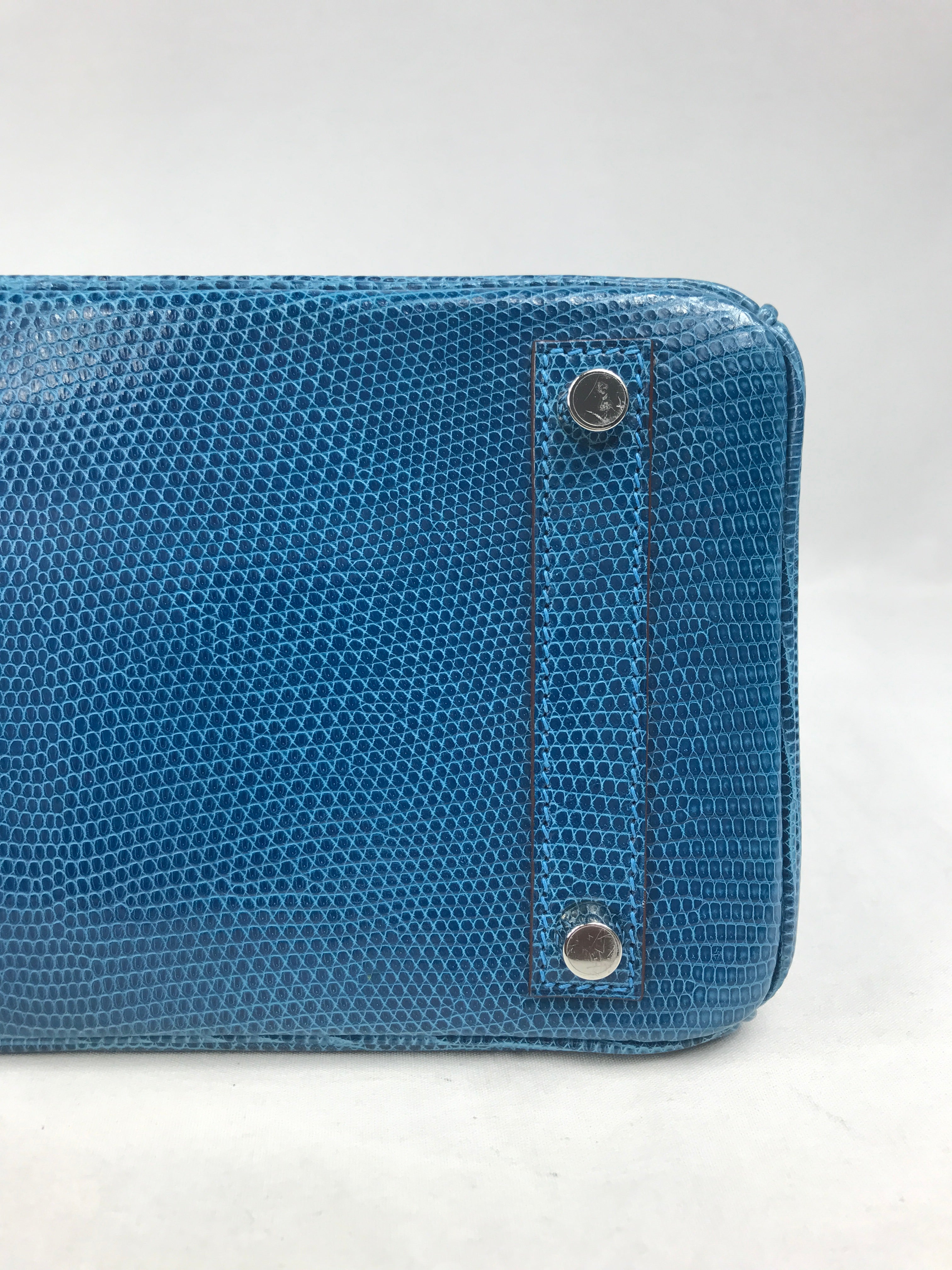 Mykonos Lizard Birkin 25 w/PHW
