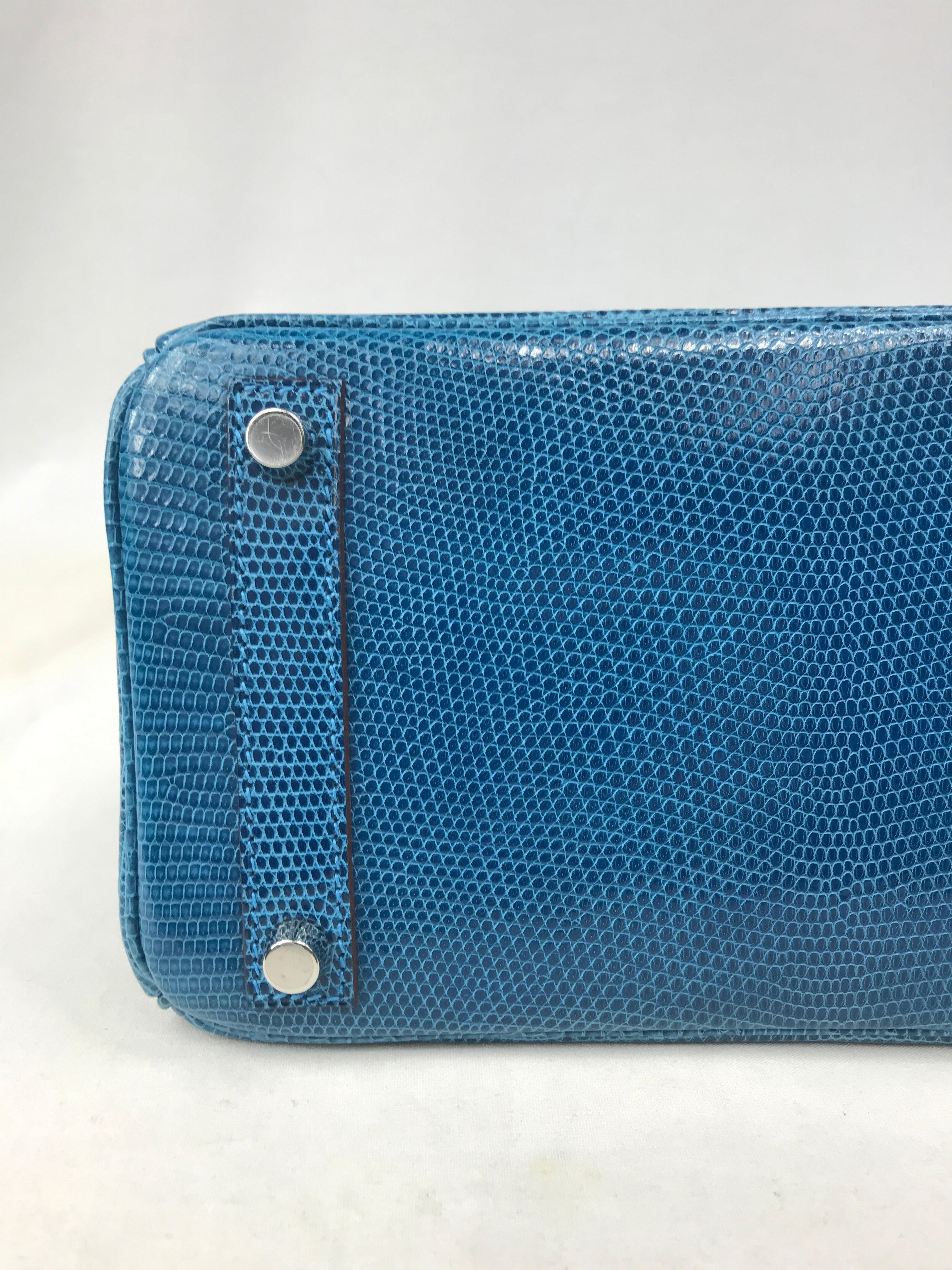 Mykonos Lizard Birkin 25 w/PHW