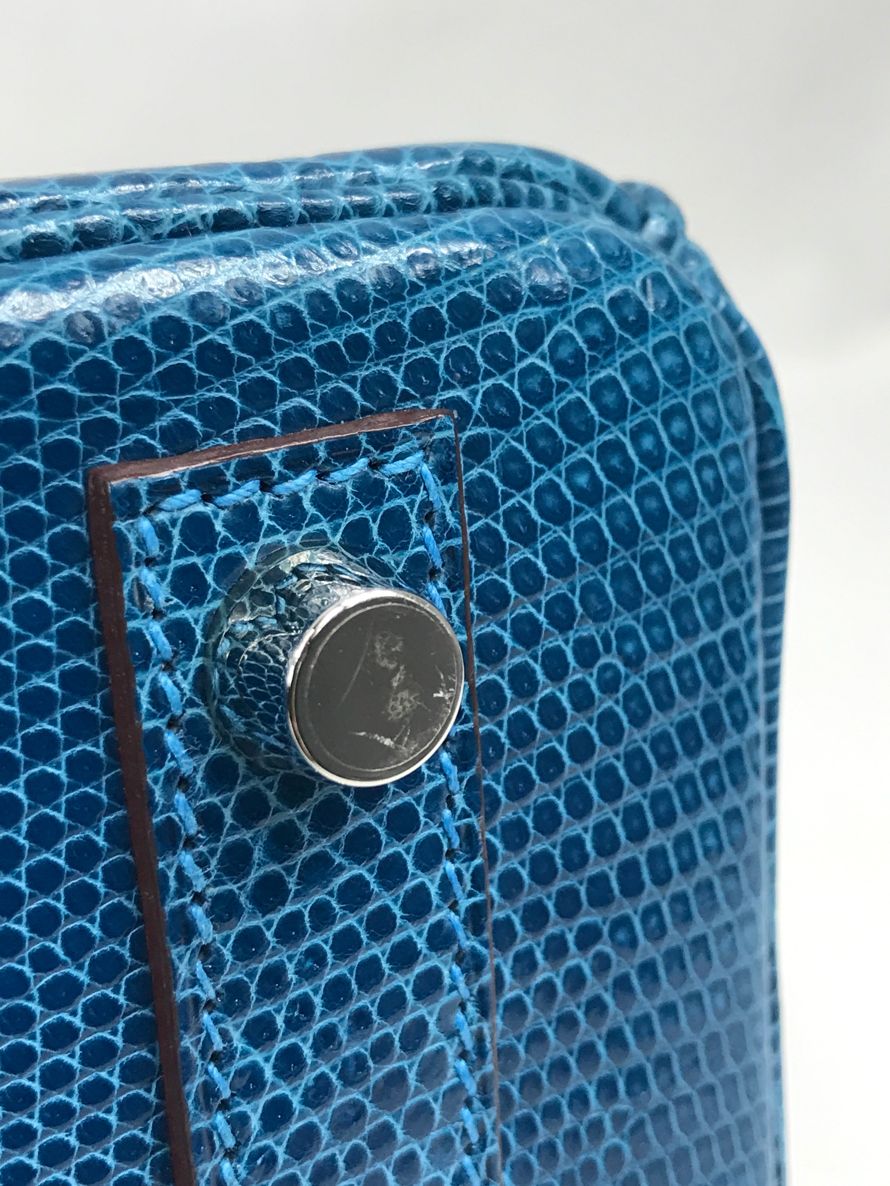 Mykonos Lizard Birkin 25 w/PHW