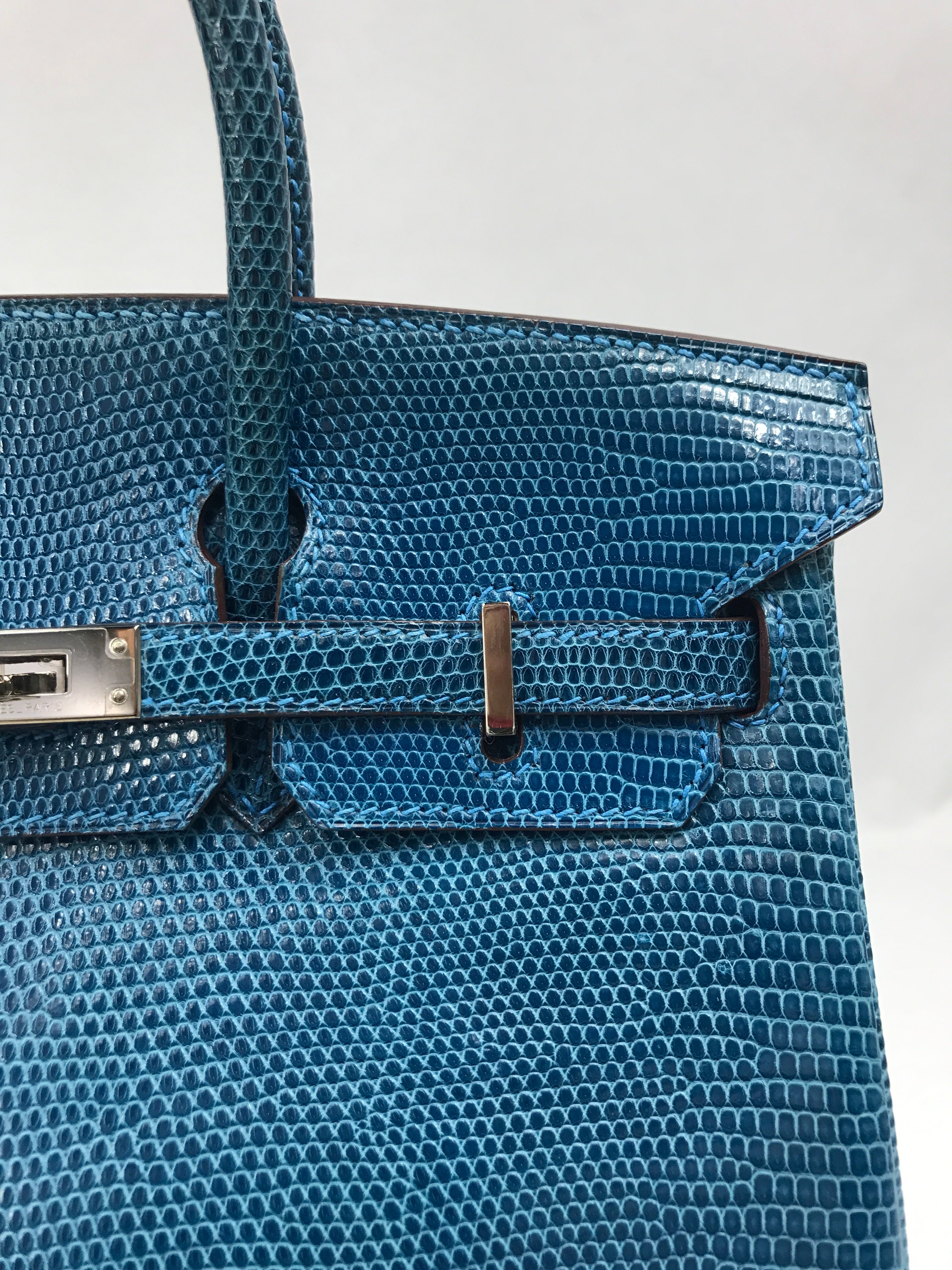 Mykonos Lizard Birkin 25 w/PHW