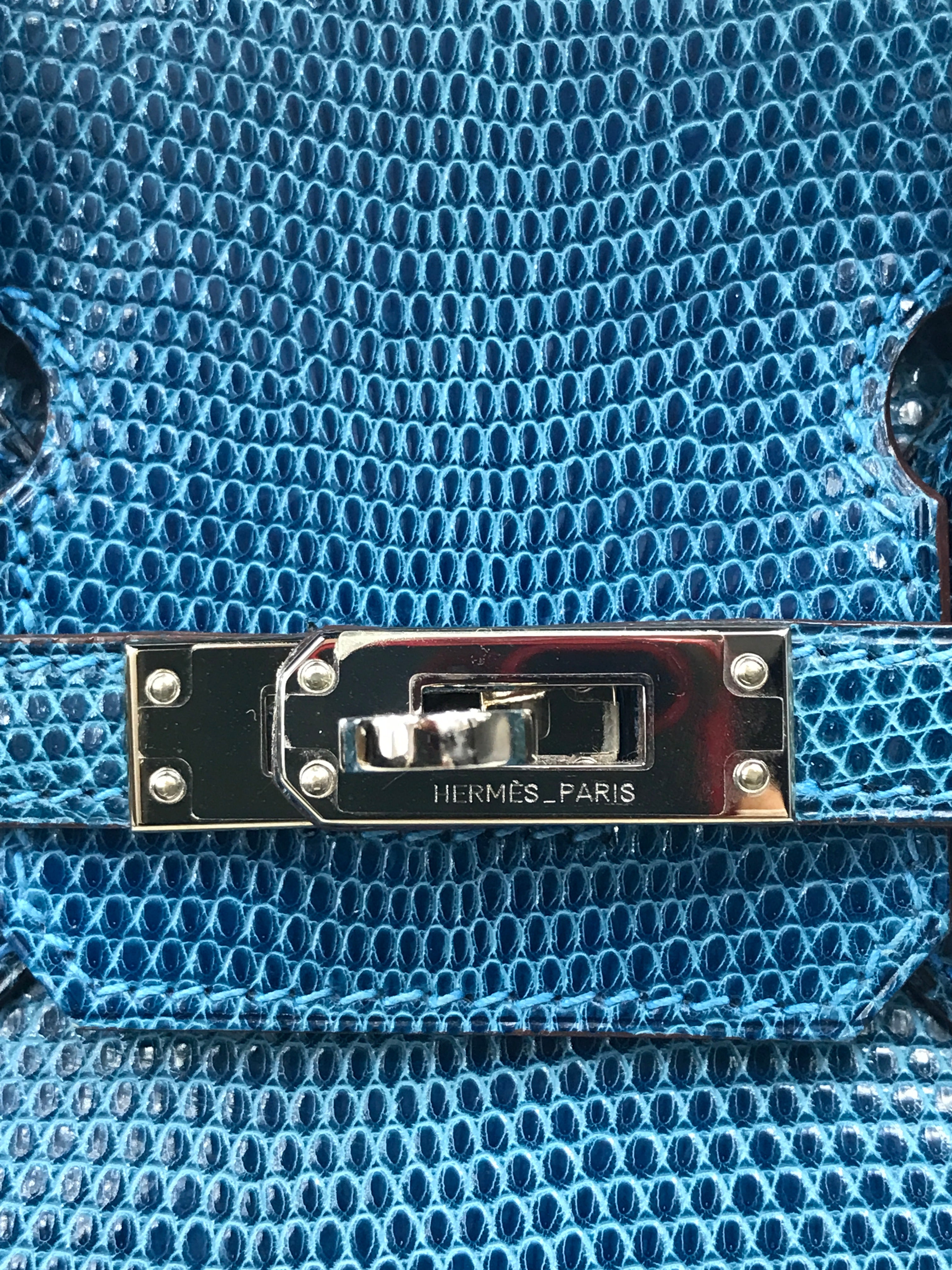 Mykonos Lizard Birkin 25 w/PHW