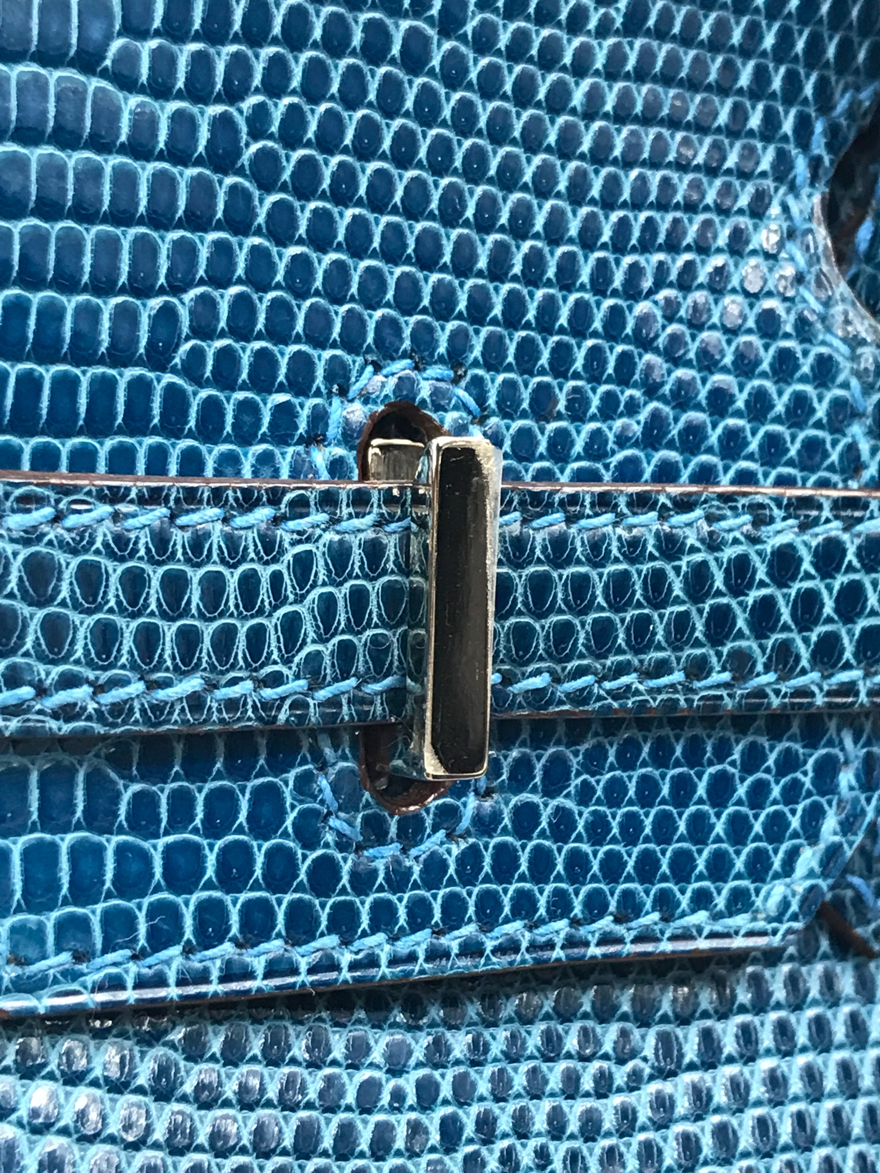 Mykonos Lizard Birkin 25 w/PHW