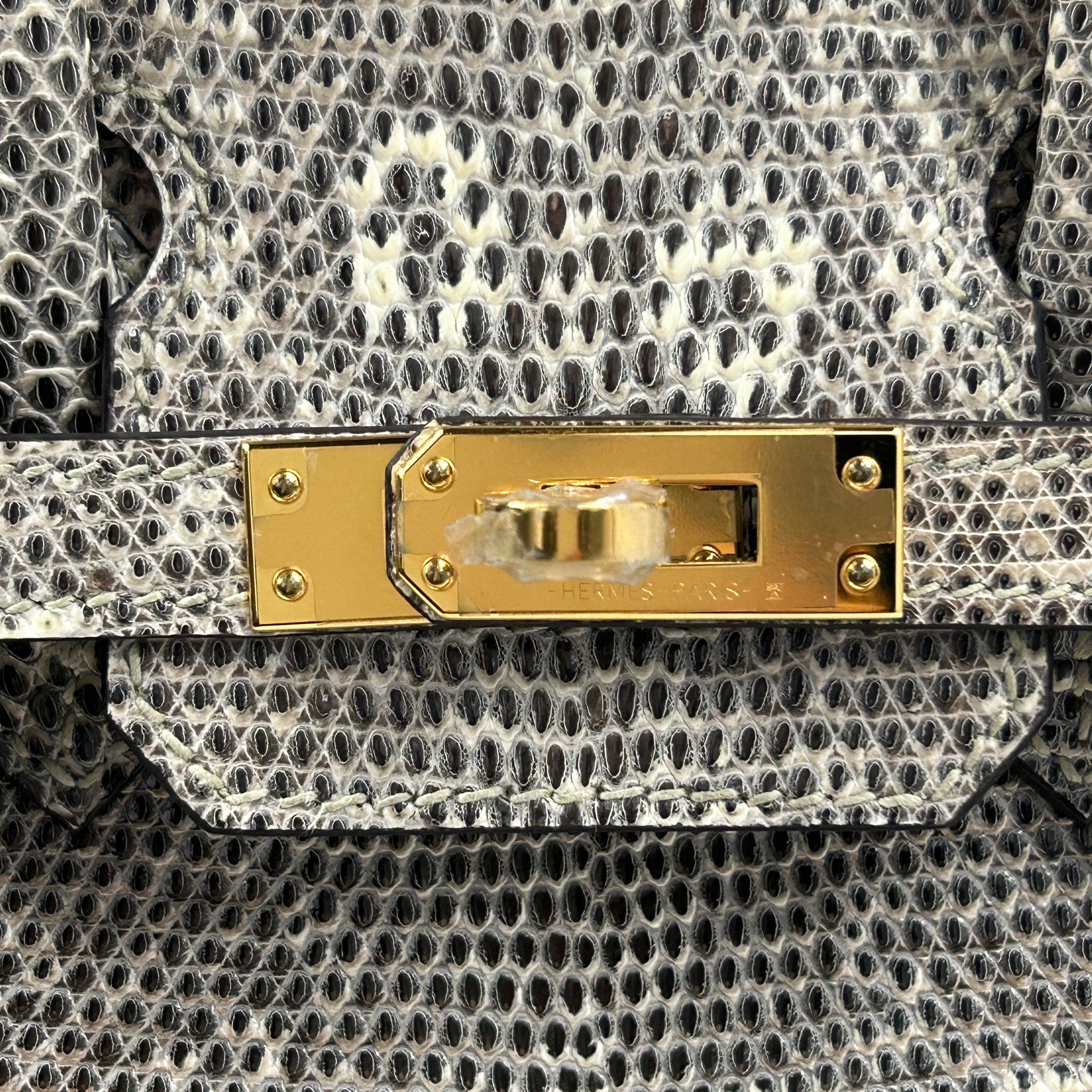Lizard Natura Lisse Birkin 25 W/GHW - Haute Classics