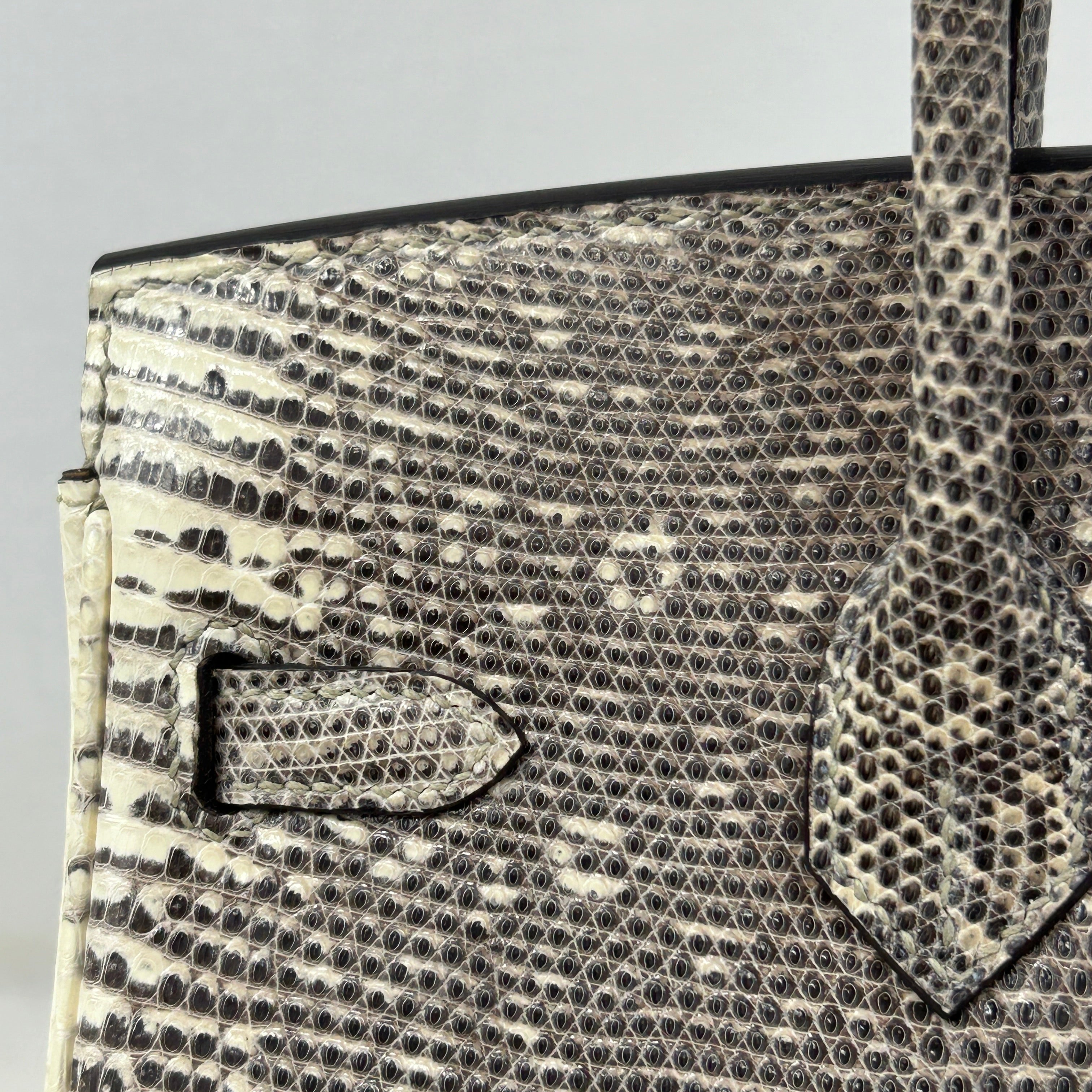 Lizard Natura Lisse Birkin 25 W/GHW - Haute Classics