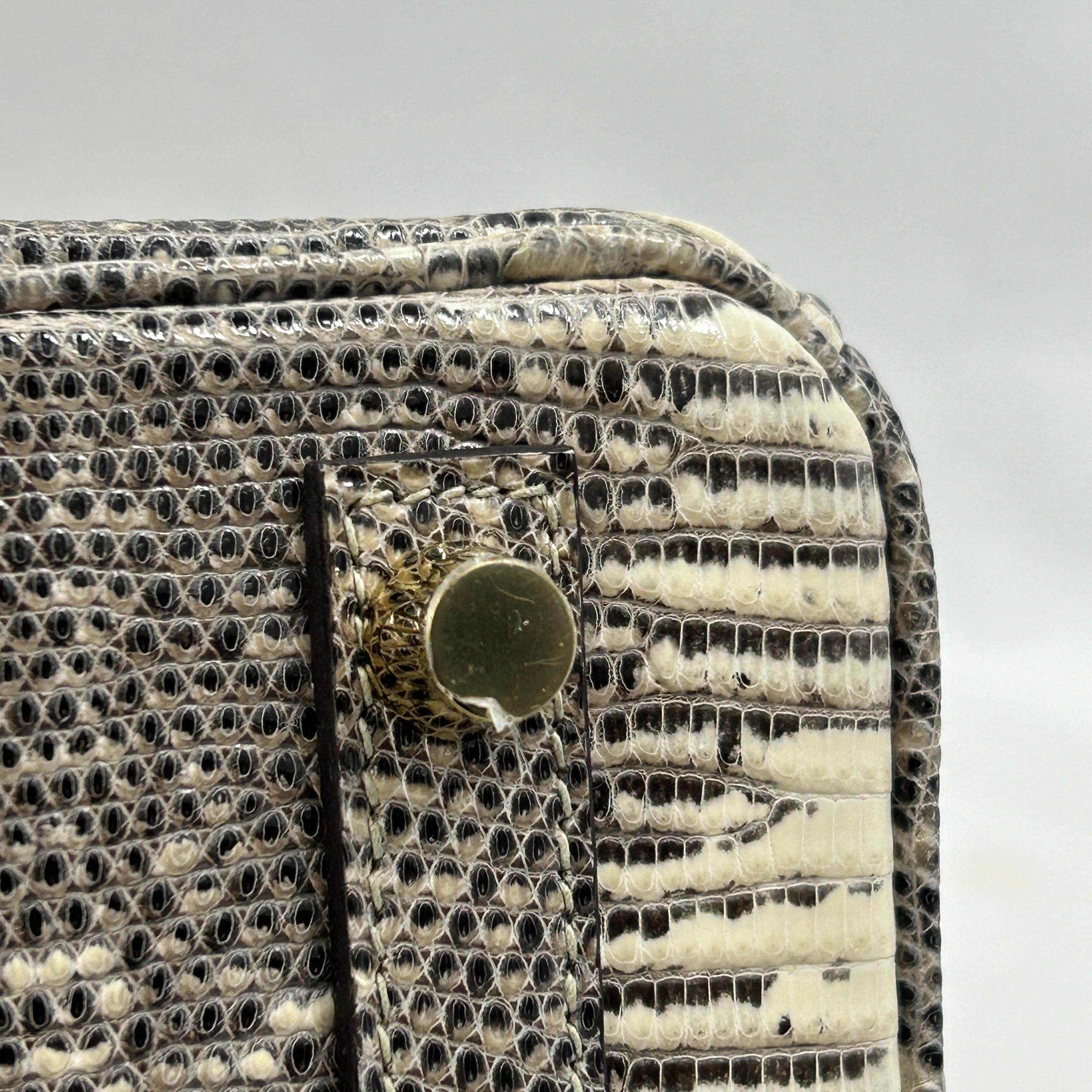 Lizard Natura Lisse Birkin 25 W/GHW - Haute Classics
