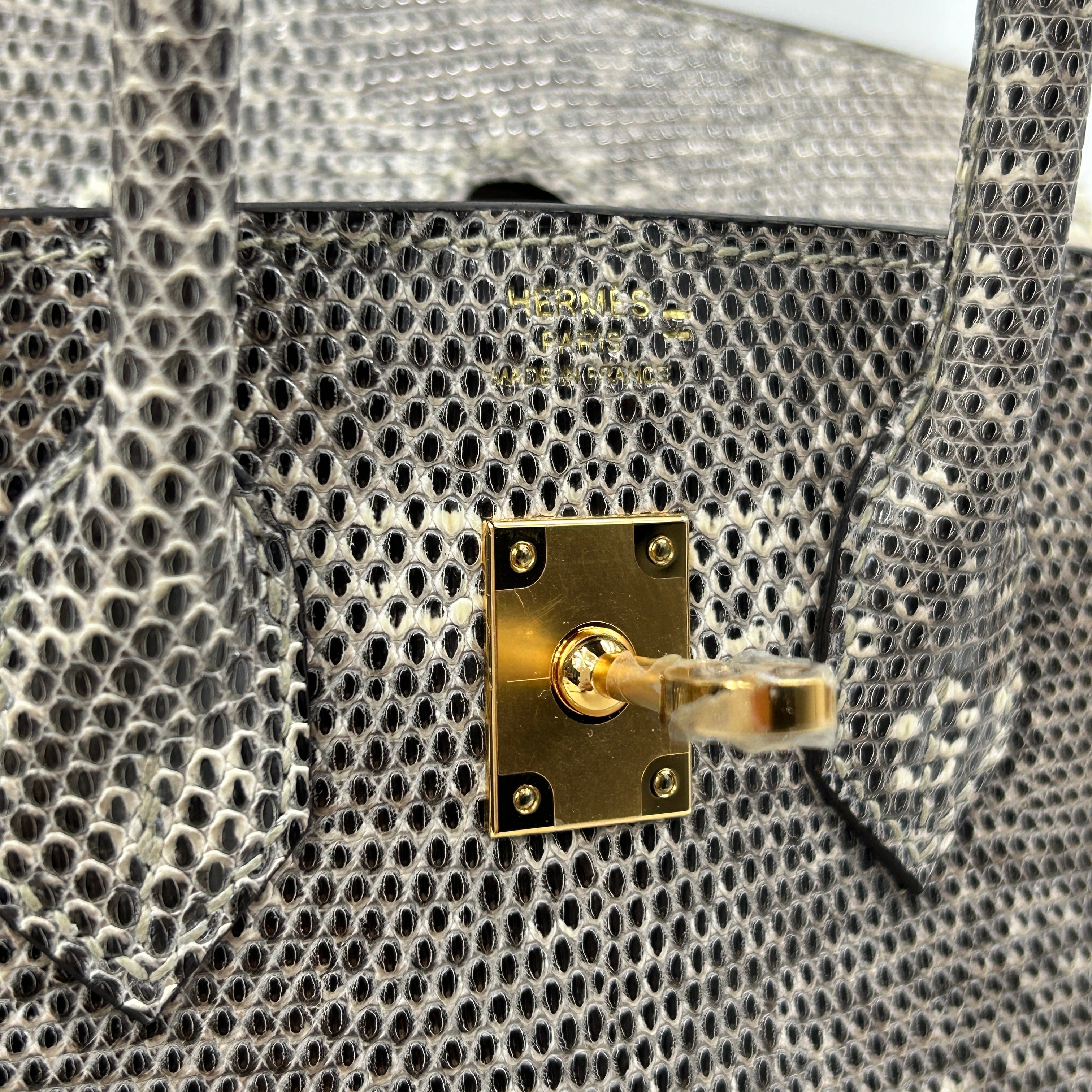 Lizard Natura Lisse Birkin 25 W/GHW - Haute Classics
