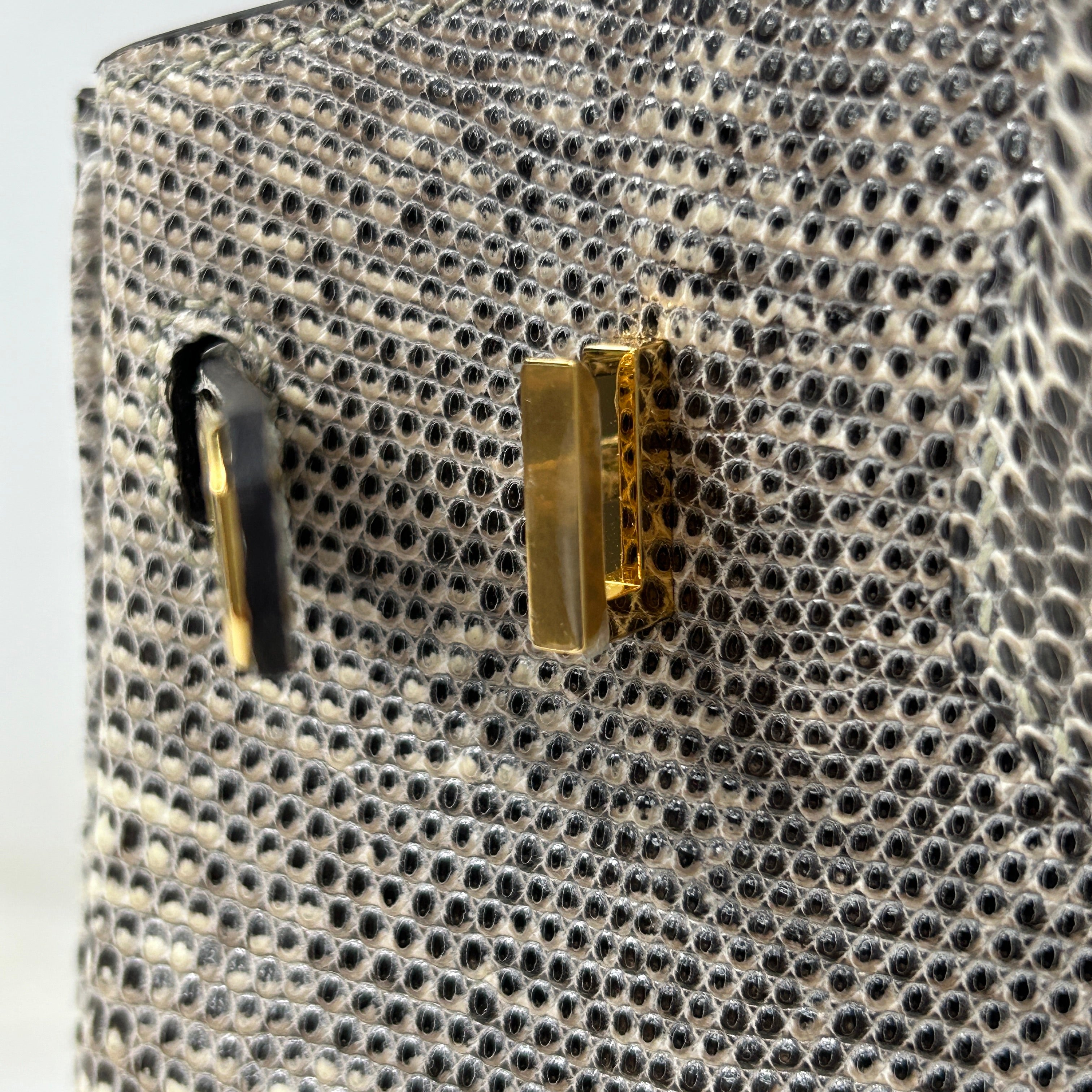 Lizard Natura Lisse Birkin 25 W/GHW - Haute Classics