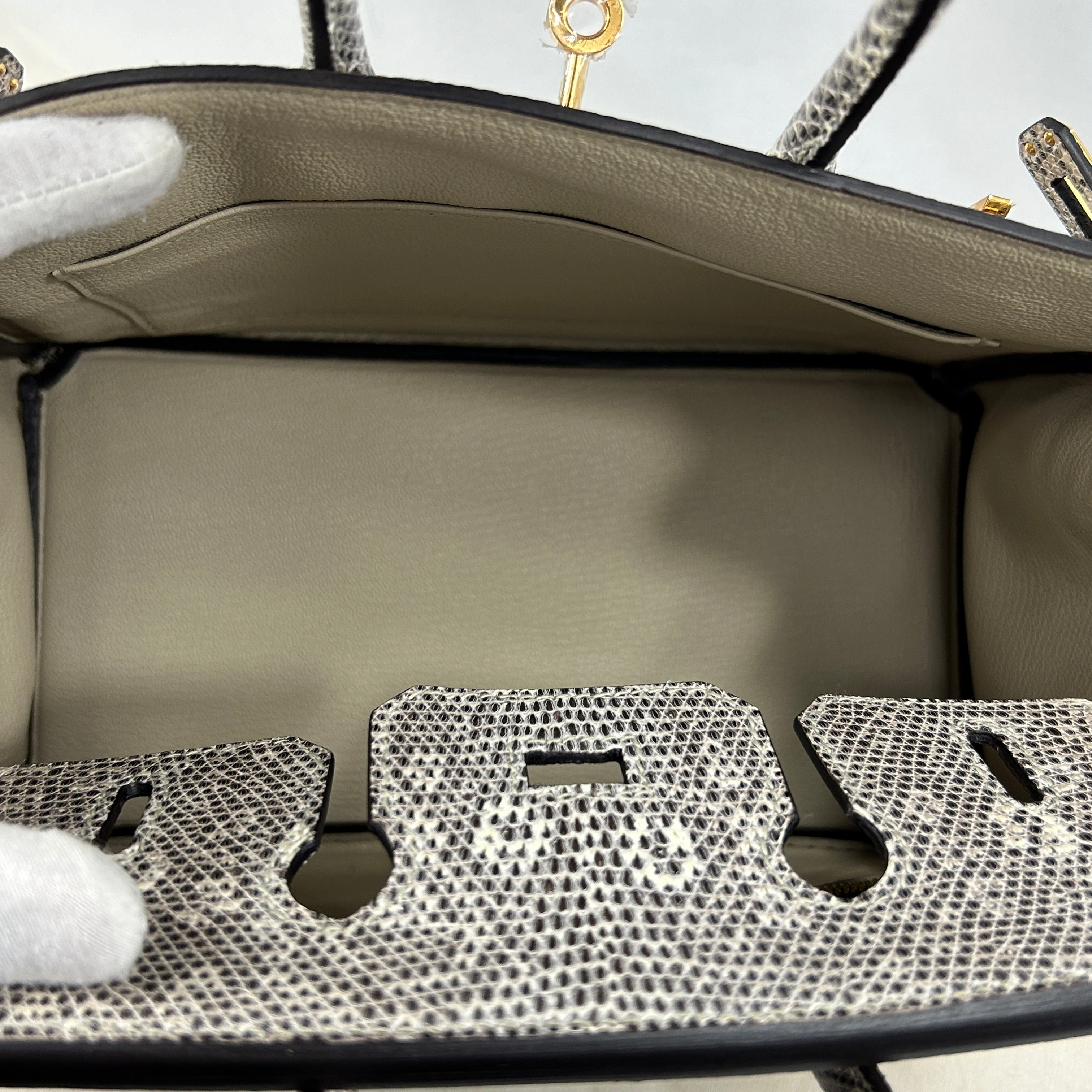 Lizard Natura Lisse Birkin 25 W/GHW - Haute Classics