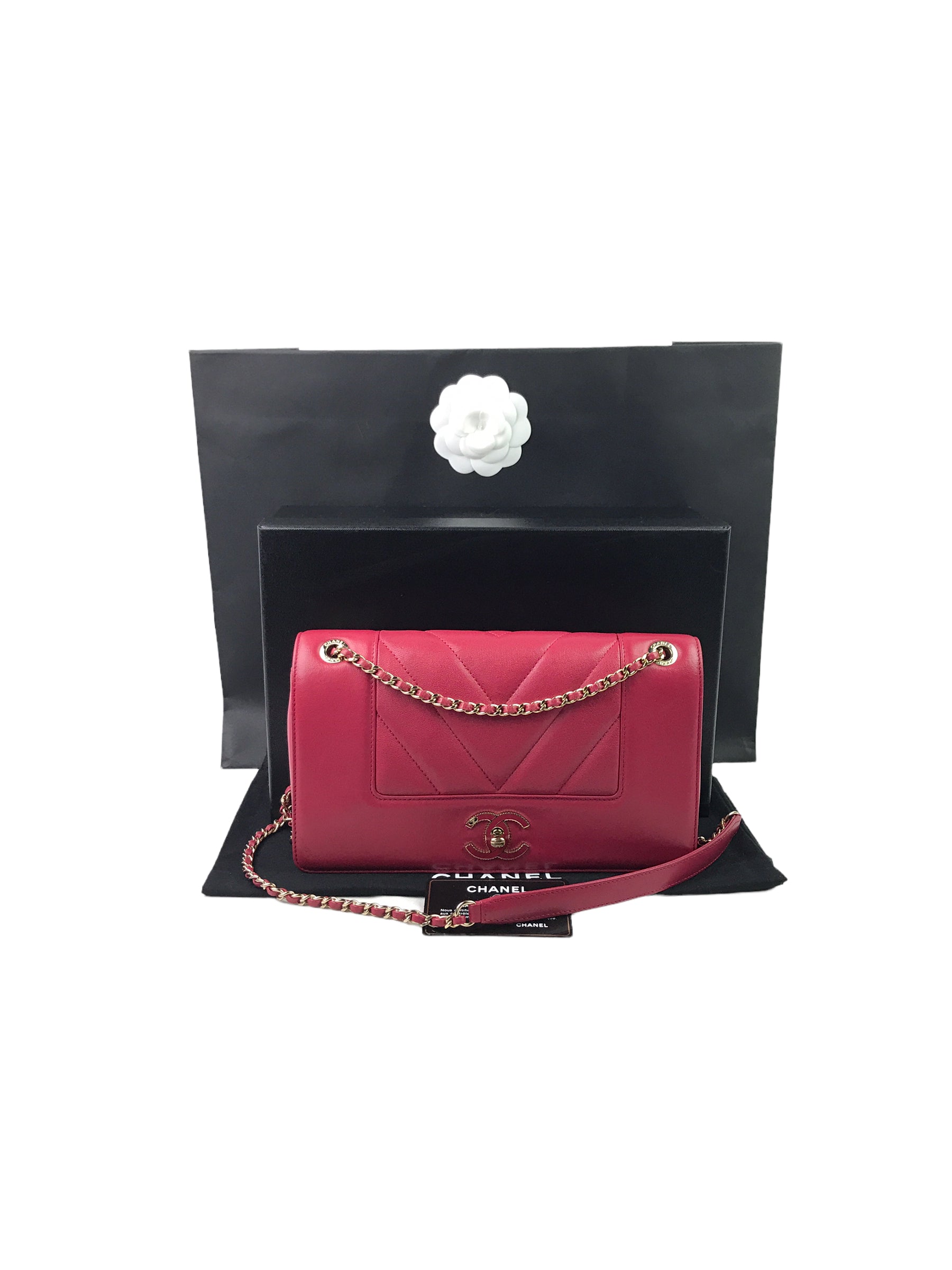 Fuchsia Pink Mademoiselle Vintage Sheepskin Flap Bag W/GHW