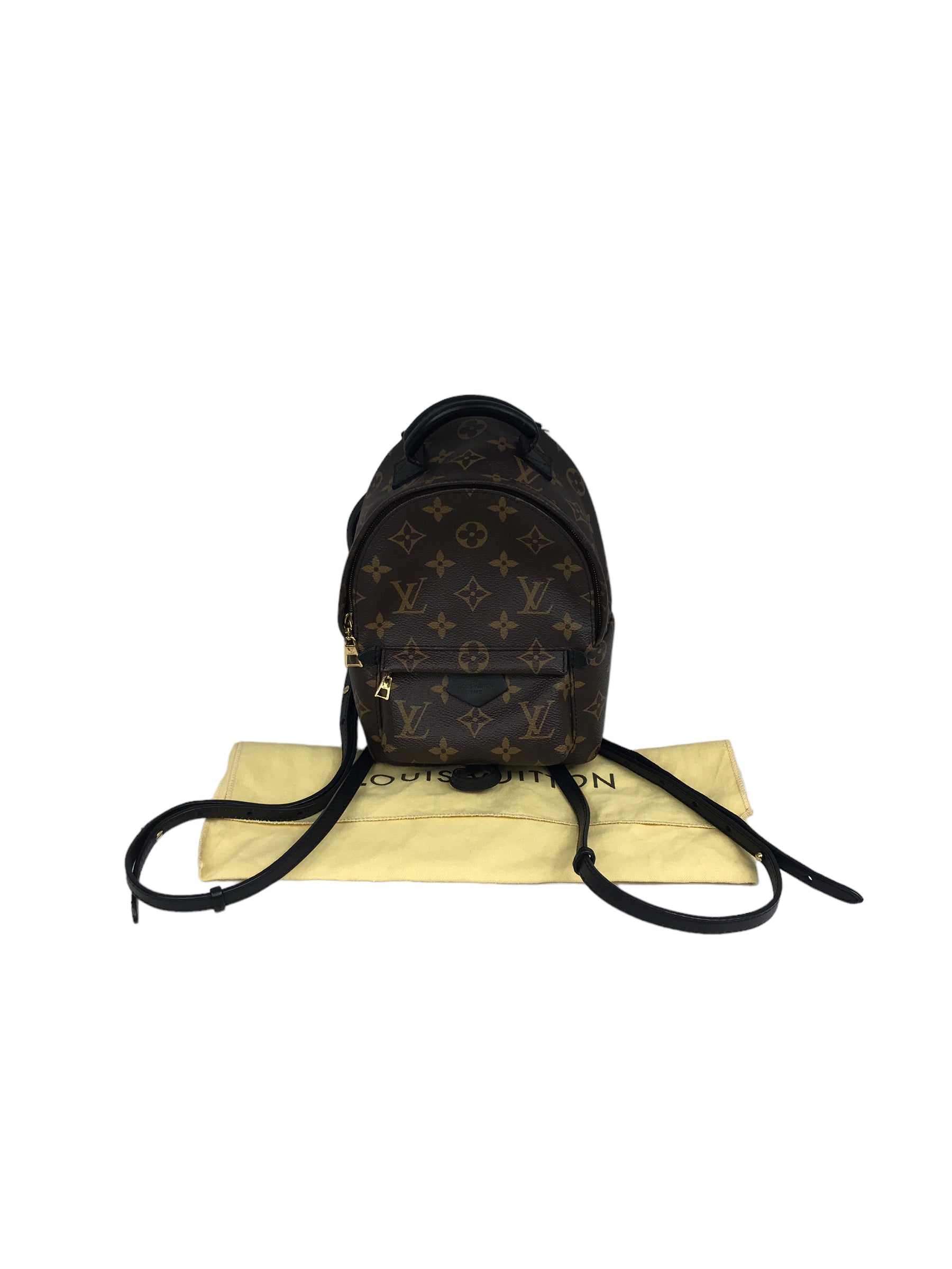 Monogram Coated Canvas Palm Springs Mini Backpack w/ GHW