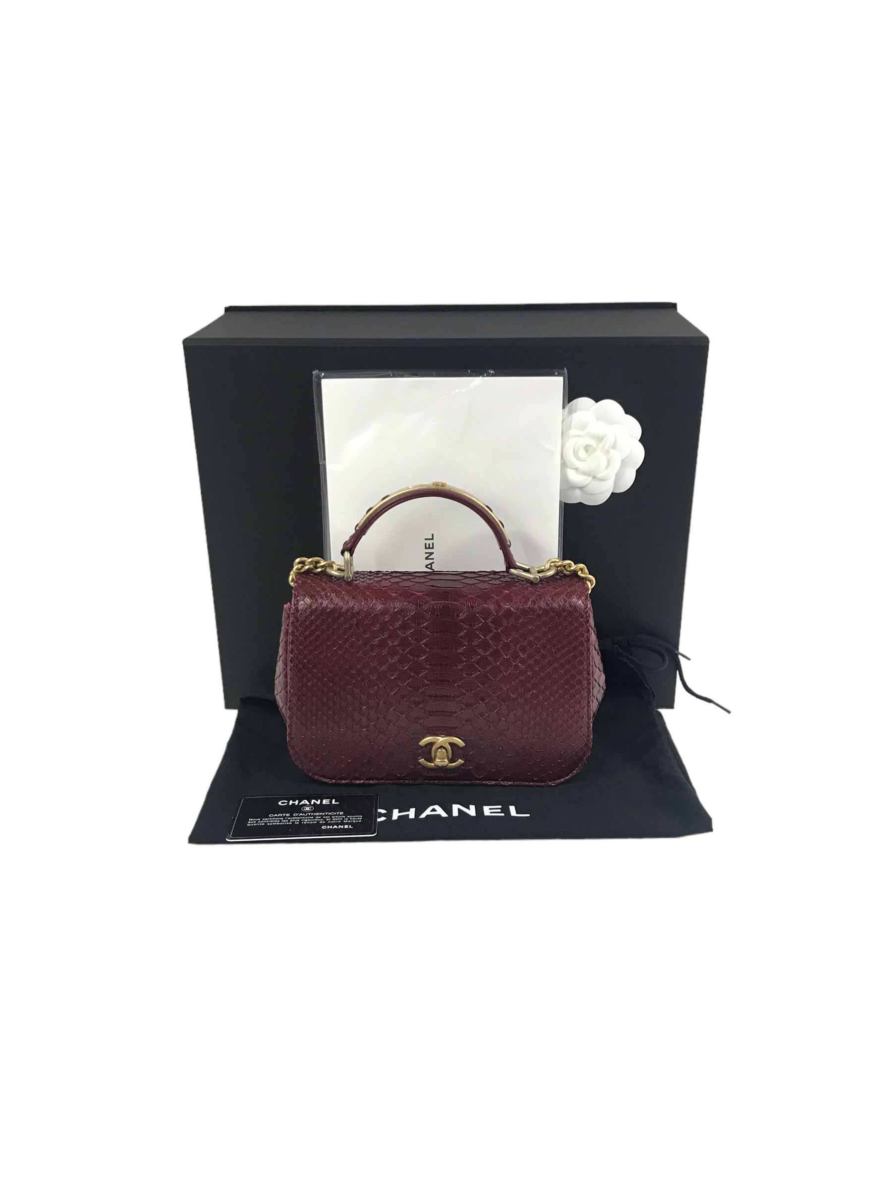 Burgundy Python “Carry Chic” Small Top Handle Flap Bag W/AGHW