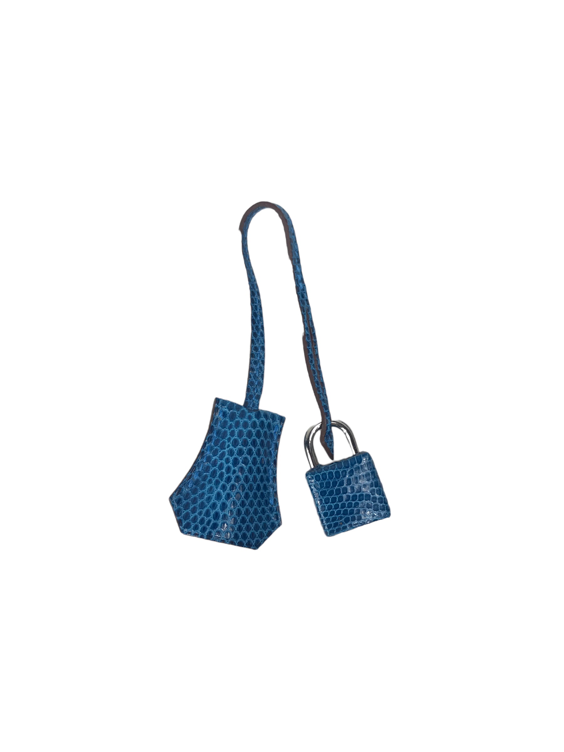 Mykonos Lizard Birkin 25 w/PHW