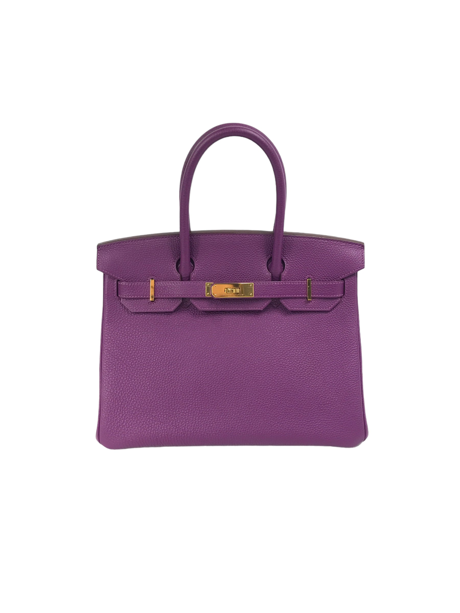 Anemone Togo Birkin 30 w/GHW