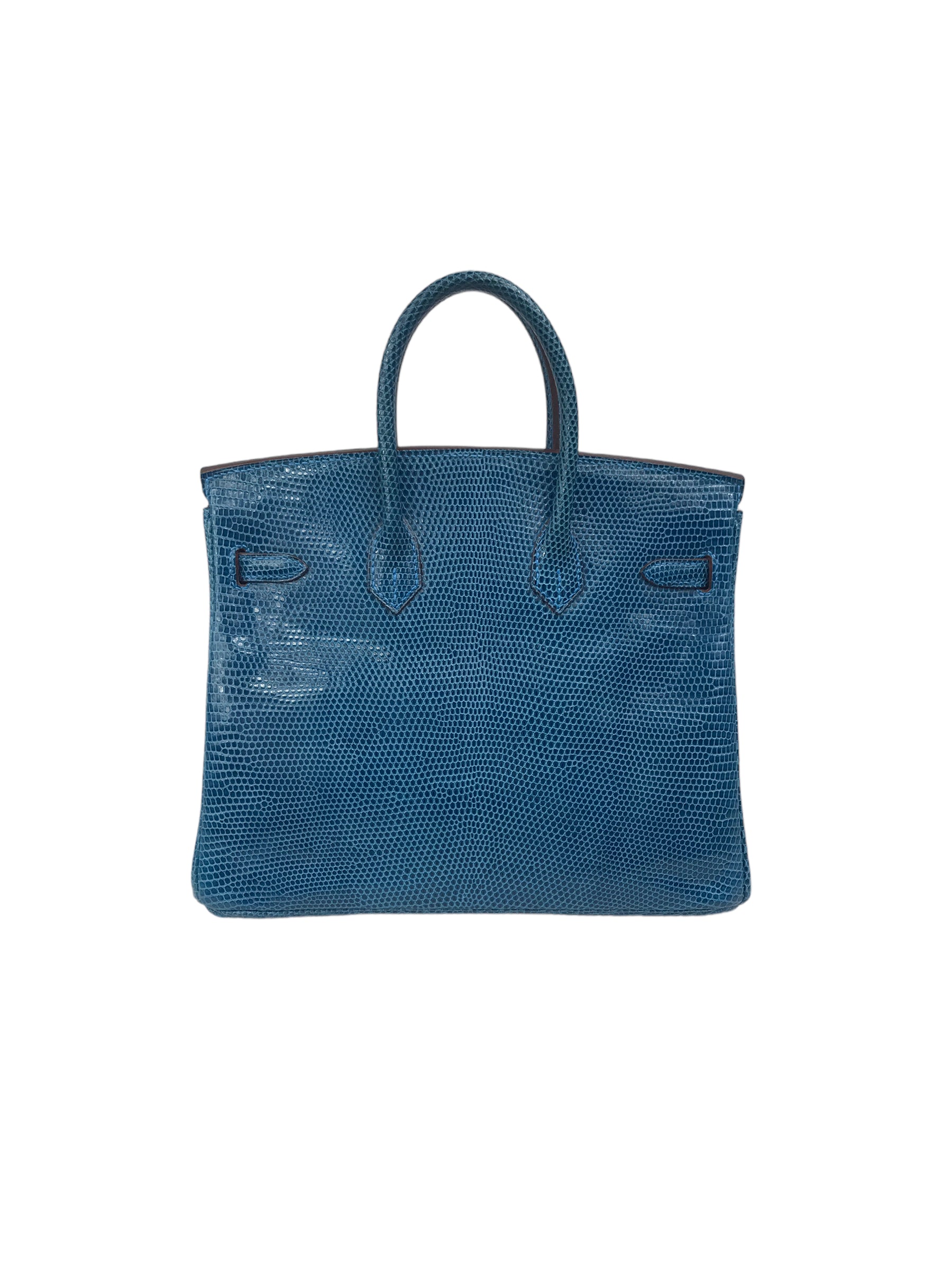 Mykonos Lizard Birkin 25 w/PHW
