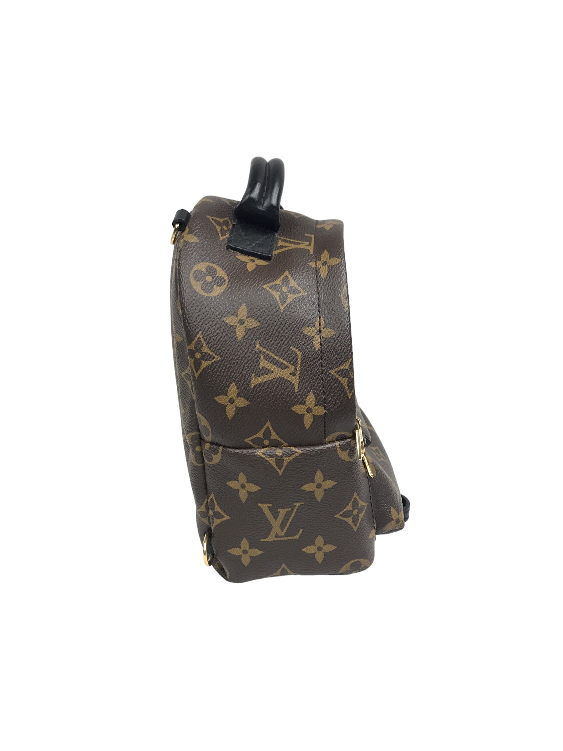 Monogram Coated Canvas Palm Springs Mini Backpack w/ GHW