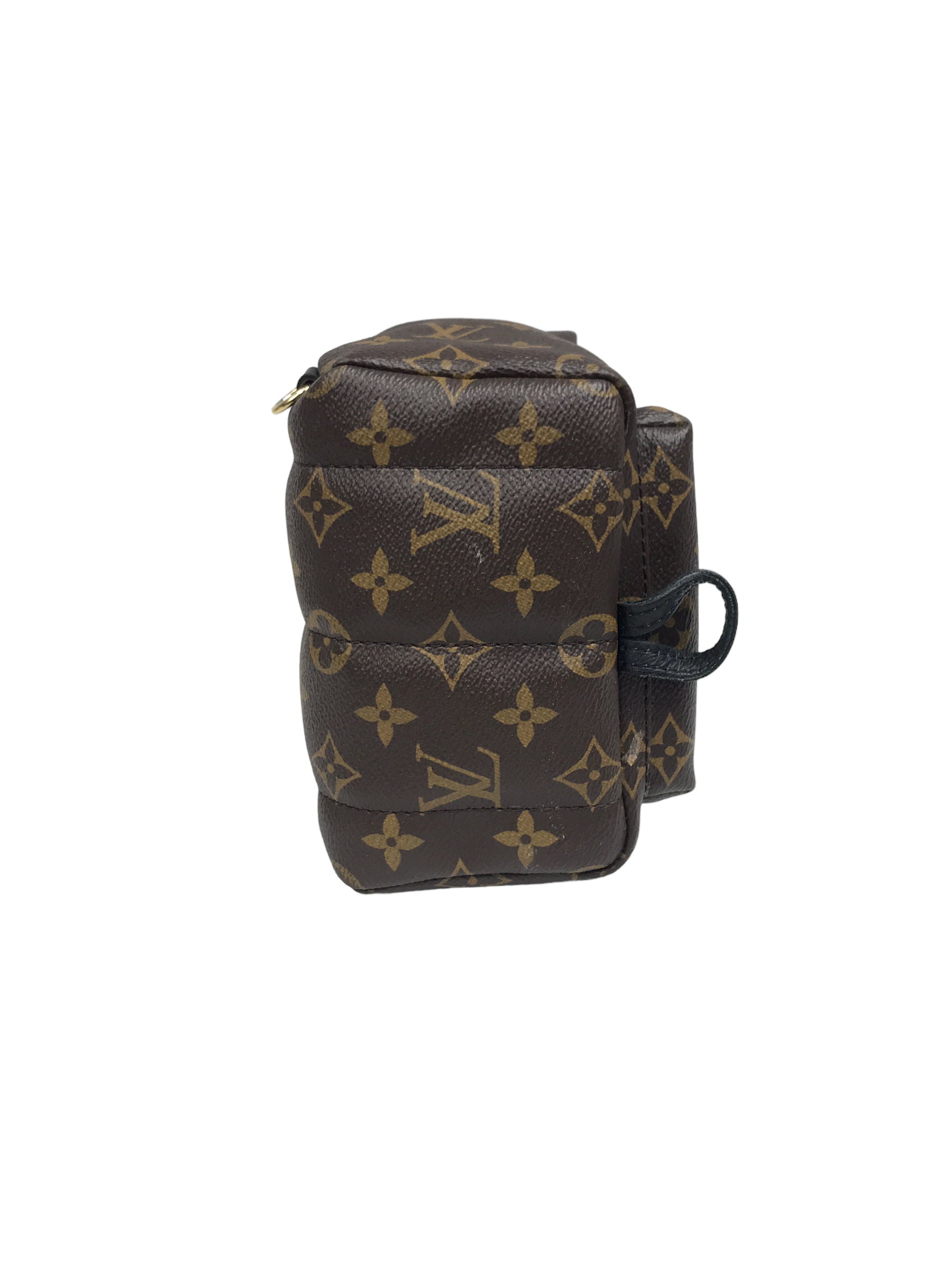 Monogram Coated Canvas Palm Springs Mini Backpack w/ GHW